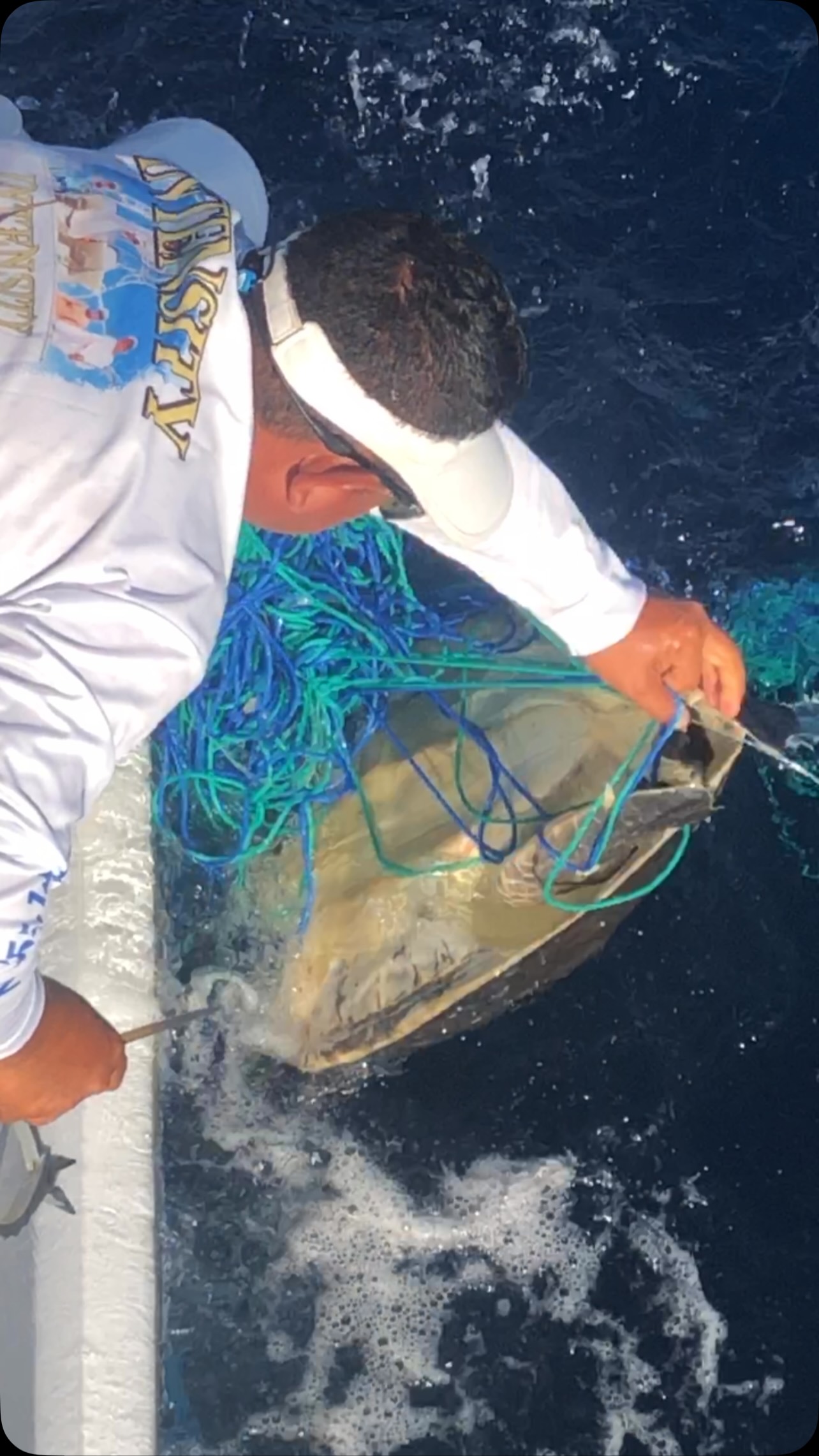 Old video of us doing our best to free turtles from an abandoned longline. That one is going to need to learn how to swim on three. 🐢 🐢