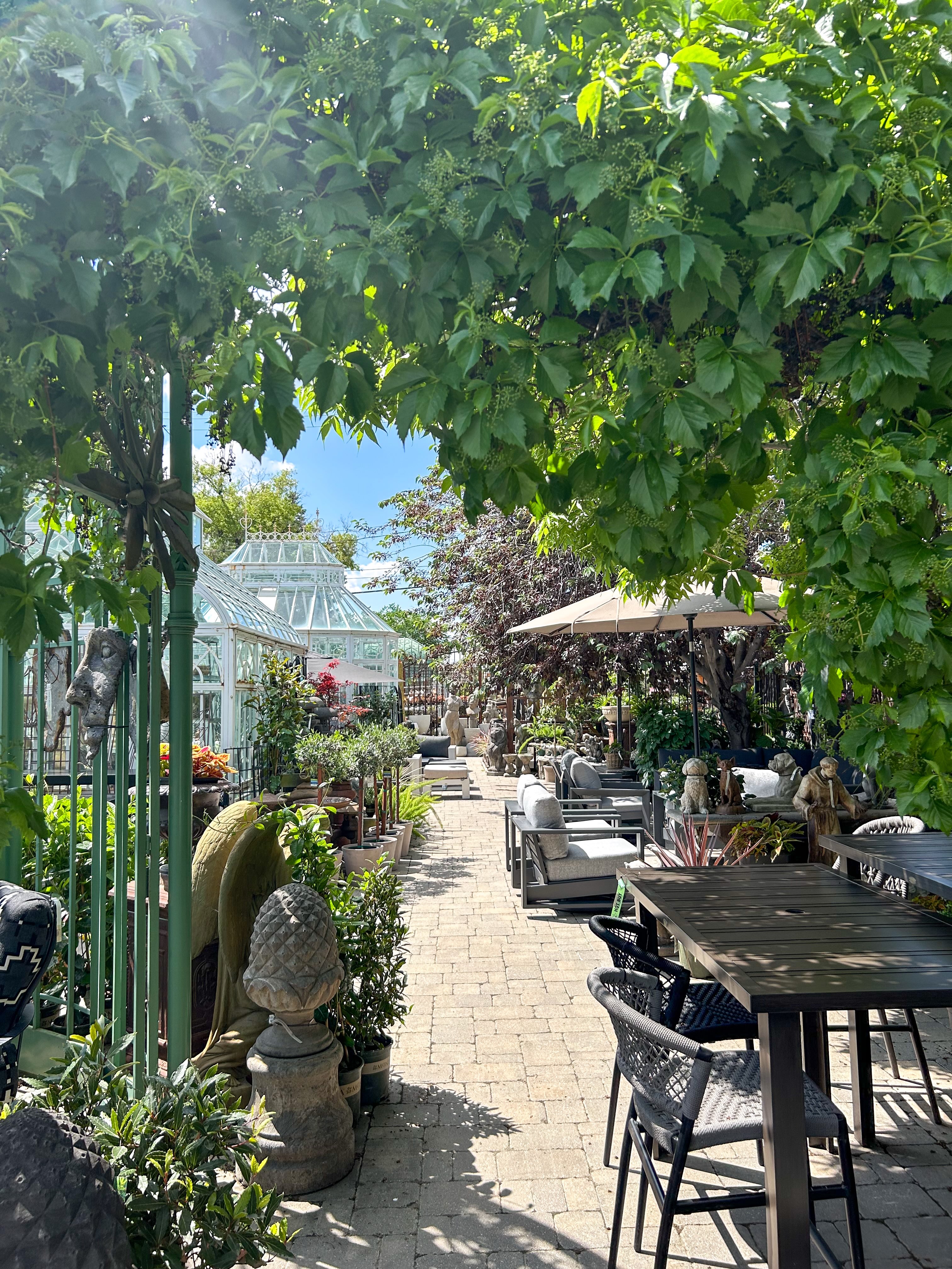 A little escape into our secret garden, right here in Riversdale🌱💚
.
.
.
#saskatoon #localbusiness #shoplocal #secretgarden #riversdaleyxe