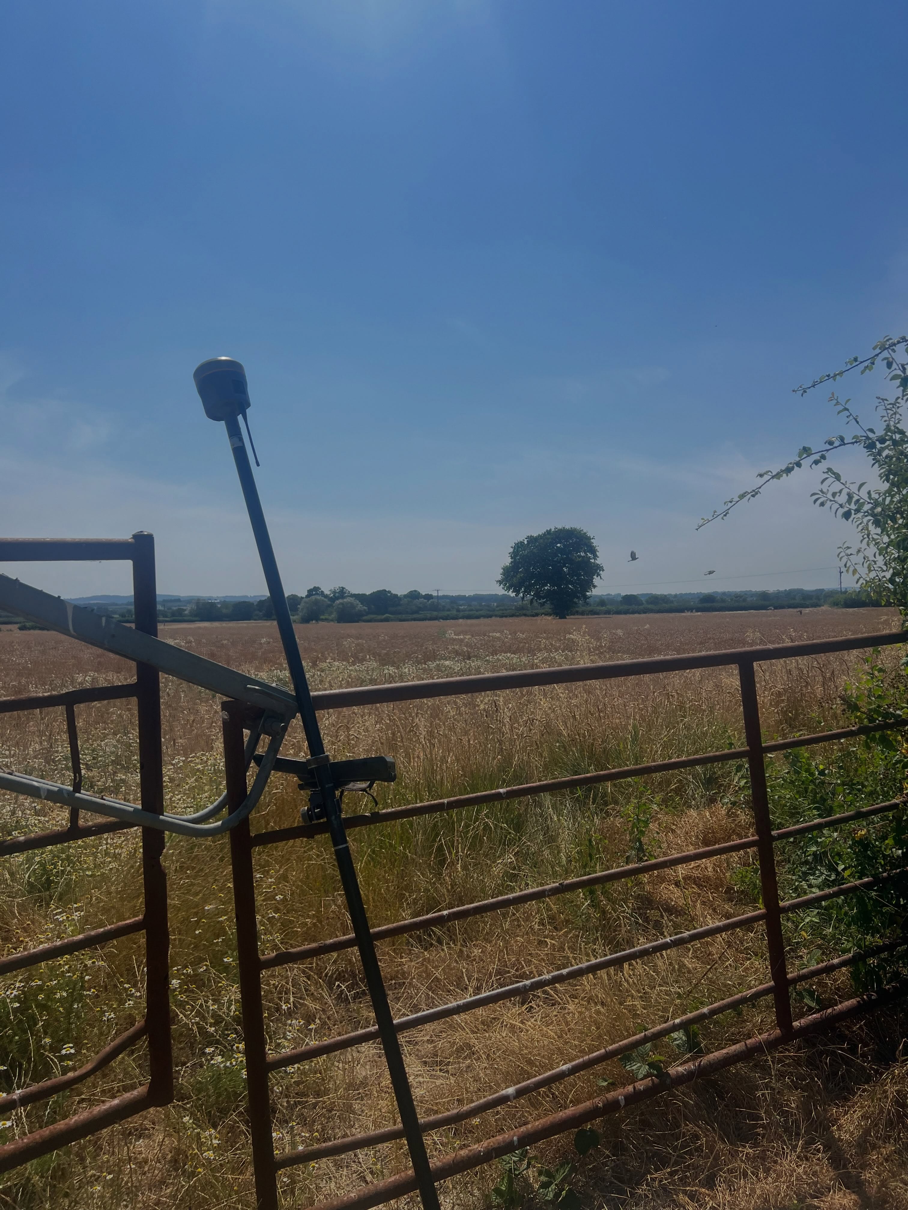 Summer surveying☀️📍
#survey #utility #workworkwork #summer #benchmark