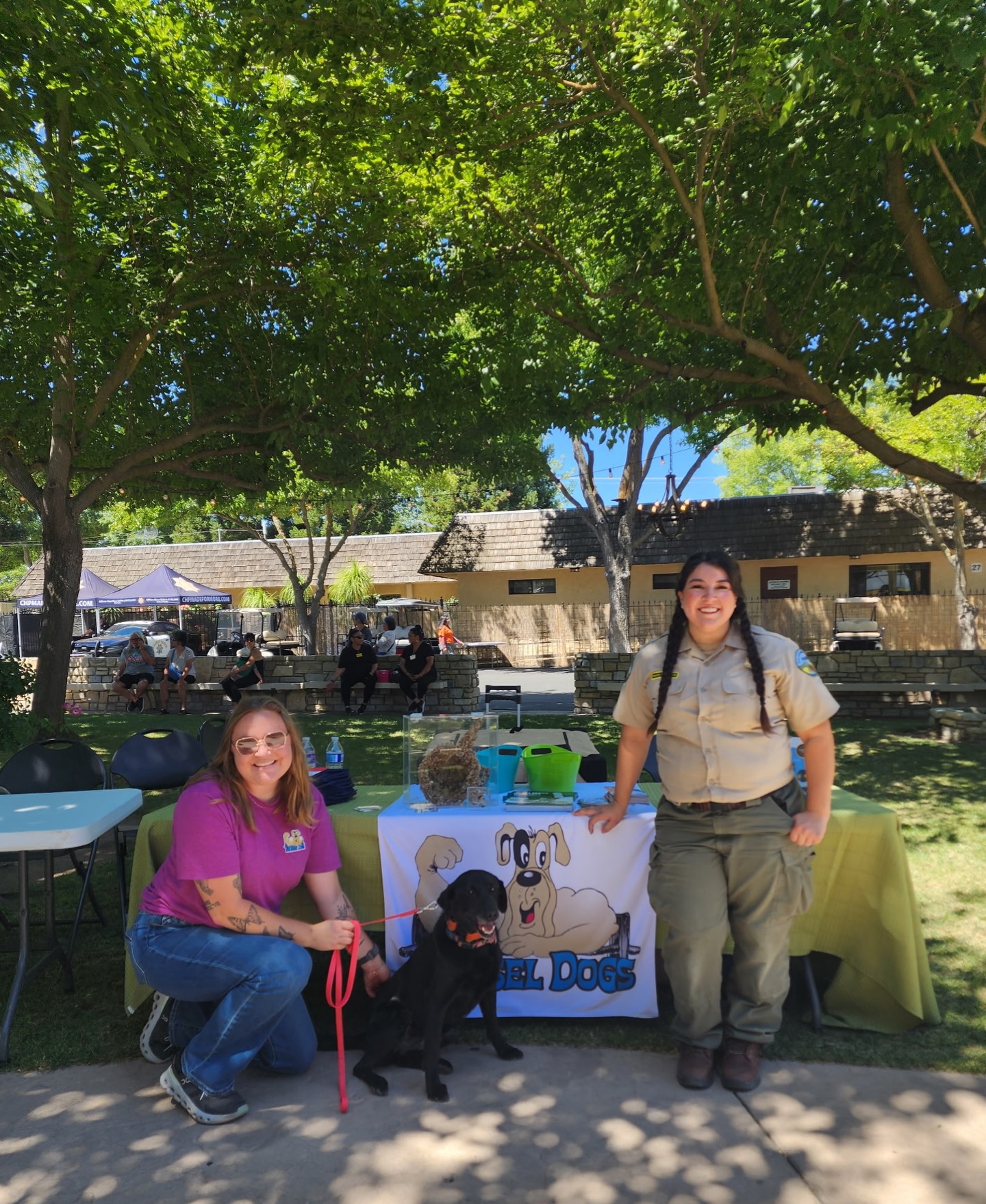 Dory and Kylie had a great time at the California Mid-State Fair! 🎡🎟️🌭
Education is one of the most powerful tools we have to prevent invasive mussels from spreading. We love talking with boaters and community members about why protecting our lakes and reservoirs matters—and Dory is always the star of the show, bringing people over to learn more.
#MusselDogs #Detectiondogs #Conservationdogs #Invasivespecies #CleanDrainDry
