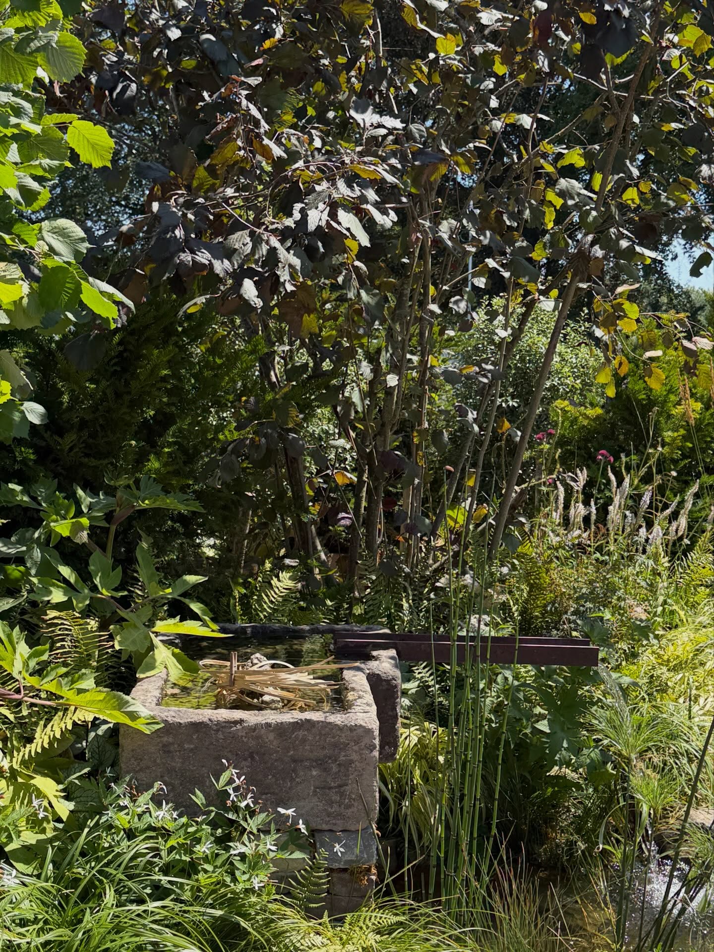 And from the outside @the_rhs Badminton. First couple of images are from my favourite the @ruskinmilltrust Artisan Woodland Craft Garden (Best Artisan Garden) designed by @austindesignworksltd
Thoughtful, achievable and peaceful.
π³π³π³
#gardendesign #rhs #rhsbadminton #environmentalgardening #craft
