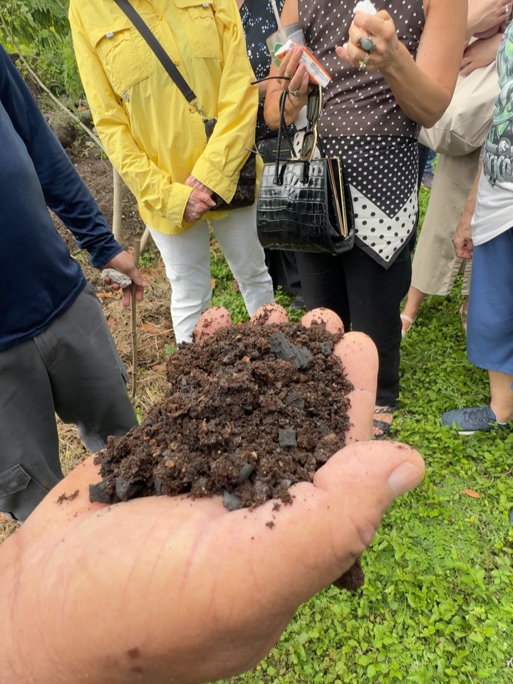 Every tour at Lion Farms gives visitors a chance to see millions of epigeic composting worms (Eisenia fetida) transforming food scraps into one of nature’s most biologically active soil amendments.
It’s a living ecosystem rich in beneficial microorganisms, plant-available nutrients, enzymes, and organic matter that support healthier soils and stronger root systems. As part of our regenerative farming practices in Miami’s Redland, our worm systems help close the loop by turning organic waste into a valuable resource for agriculture.
Whether you’re a gardener, farmer, student, or simply curious about sustainable food systems, our tours are designed to show how healthy soil begins with healthy biology.
🦁 Come experience the farm, meet the worms, and see regenerative agriculture in action.
📍Lion Farms – Miami Redland
🎟️ Book a farm tour through the link in our bio.