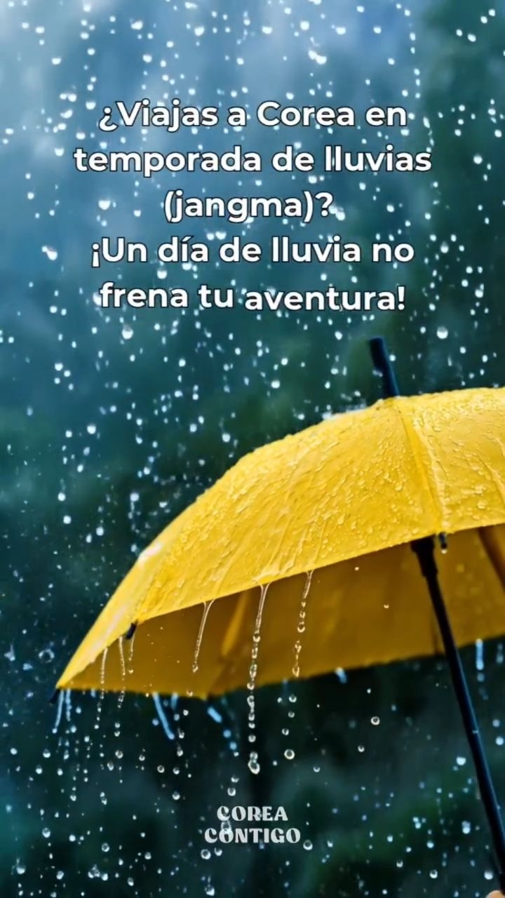 🌧️ ¿Viajas a Corea en temporada de lluvias (jangma)? ¡Que la lluvia no frene tu aventura! 🇰🇷✨
Descubre los mejores planes bajo techo en Seúl para disfrutar de la cultura, compras y experiencias únicas sin preocuparte por el clima. ☔
🏛️ 1. Museos y Arte
- Museo Nacional de Corea: Arte e historia imprescindible (exposición permanente gratuita).
- MMCA / SeMA: Para los amantes del arte moderno y contemporáneo.
- Museo de Artesanía de Seúl: Belleza y tradición artesanal en pleno centro.
🛍️ 2. Compras y Ocio
- COEX Mall & Biblioteca Starfield: La icónica biblioteca, acuario y compras.
- The Hyundai Seoul: El centro comercial más moderno y fotogénico de la ciudad.
- Lotte World & Mall: Parque temático cubierto, acuario y observatorio.
🎨 3. Espacios Culturales y Experiencias
- HiKR Ground: Espacio interactivo gratuito de K-pop y turismo.
- DDP (Dongdaemun Design Plaza): Icono futurista con exposiciones de diseño y moda.
- Talleres de cocina o artesanía: Clases de cocina coreana, cerámica o manualidades (requieren reserva previa).
⚠️ Recomendamos verificar horarios y reservar con anticipación los talleres o clases.
✨ ¡Guarda este post para tu viaje! ☔
#coreacontigotour #viajeacorea #tourenespañol #coreadelsur #jangma