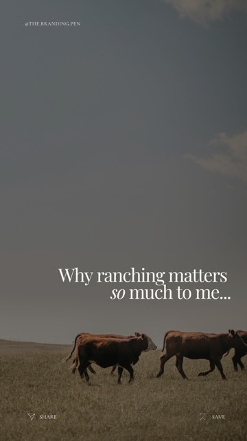 This is why farming and ranching matters so much to me. It’s beyond a passion for livestock and rural living. It’s about the grasslands, our sovereignty, our way of life, the care and ethical treatment of animals, the communities, the small businesses, the connection to the land, the connection to our food, the choice over our bodies and our soil. For me, it’s never just been about farming, it’s about the bigger part it plays in society, and our ability to make decisions for ourselves. We need farmers and ranchers. And we need those producers to be empowered. That’s why I do what I do.
If you are looking for a marketer that understands agriculture, understands your way of life (and why it matters) and is passionate about getting her clients results then shoot me a DM. That means we’re the perfect match. 🫶🏼 I offer social media marketing + management, web design, and for the folks who are wanting to handle their marketing efforts themselves, but are ready for support, guidance & for things to be a whole heck of a lot easier, I offer a coaching & consulting hybrid. Visit the link in my bio or shoot me a DM to learn more! 🤍