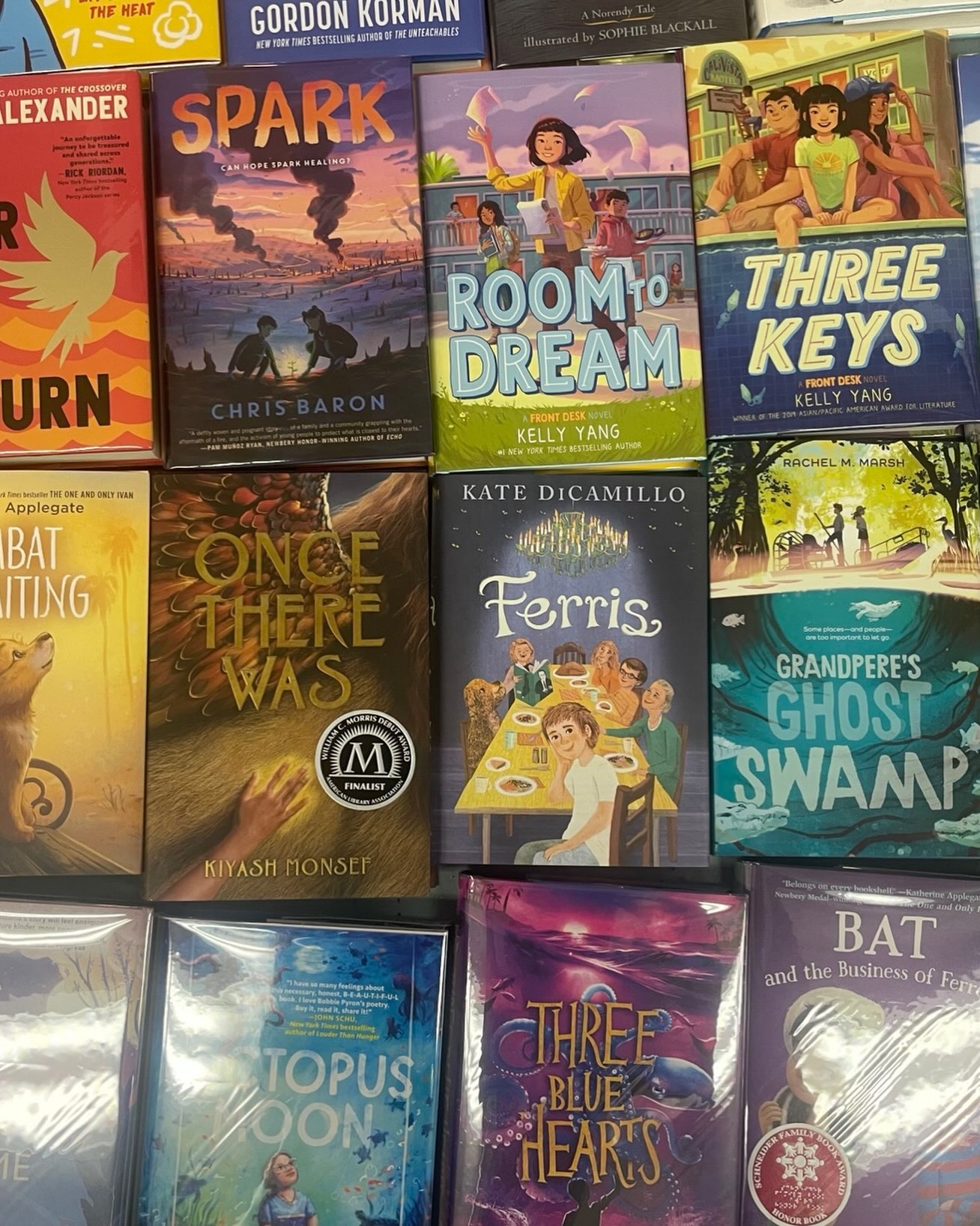 So. Many. Great. New. JV Books! Thanks to local fundraising and a grant from the Pilcrow foundation, we have a huge new collection of kids fiction and non-fiction. Come check them out!