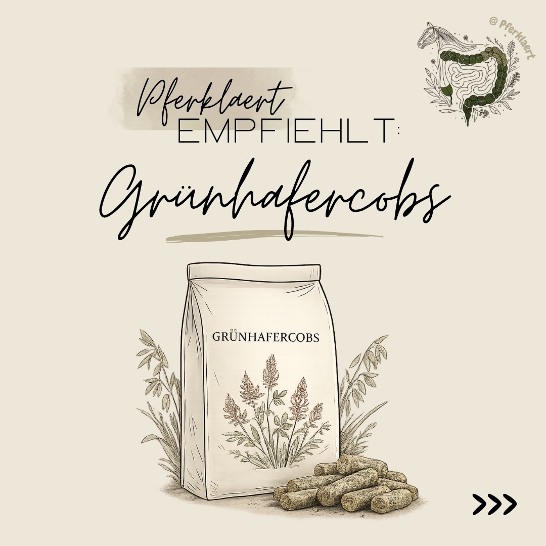 Hellou und willkommen zum nächsten Teil von ✨Pferklaert empfiehlt✨. Wir machen weiter mit Grünhafercobs.
Grünhafercobs werden häufig genutzt, um strukturreiche Rationen zu ergänzen. Je nach Zusammensetzung können sie beispielsweise für empfindliche oder schwerfuttrige Pferde interessant sein.
Wichtig ist dabei aber immer die Qualität des Produkts, die Zusammensetzung und vor allem die individuelle Situation des Pferdes. Denn auch bei Grünhafercobs gilt: Nicht jedes Produkt passt automatisch zu jedem Pferd.
👉🏻Grundsätzlich sollte Fütterung niemals isoliert betrachtet werden. Ob ein Futter sinnvoll ist, hängt immer vom Gesamtbild ab:
✅ Haltung
✅ Arbeitsniveau
✅ Verdauung
✅ Gesundheitszustand
✅ Alter
✅ restliche Ration
uvm.
Genau deshalb ist es wichtig, nicht nur Werbung, Trends oder Einzelmeinungen zu folgen, sondern die biologischen Zusammenhänge dahinter zu verstehen.
Und genau darum geht es hier auf meinem Account: Pferdegesundheit verständlich erklären, Zusammenhänge einordnen und fundiertes Wissen zugänglich machen🌿
Schreib gerne mal in die Kommentare
💬Welche Grünhafercobs kannst du empfehlen?
💬Welche Produkte oder Produktgruppen soll ich mir als Nächstes anschauen?
Dein Feedback hilft mir dabei, die Reihe weiterzuentwickeln und noch hilfreicher zu gestalten 💚
Wenn dir der Beitrag gefallen hat, freue ich mich über ein Like ❤️, speichere ihn für später 📌 und teile ihn mit anderen Pferdemenschen 🐴✨
⚠️ Hinweis: Alle Angaben beziehen sich auf den Zeitpunkt der Erstellung des Beitrags. Deklarationen, Preise und Herstellerangaben können sich jederzeit ändern und sollten daher vor dem Kauf stets aktuell überprüft werden.
(unbezahlte Werbung)