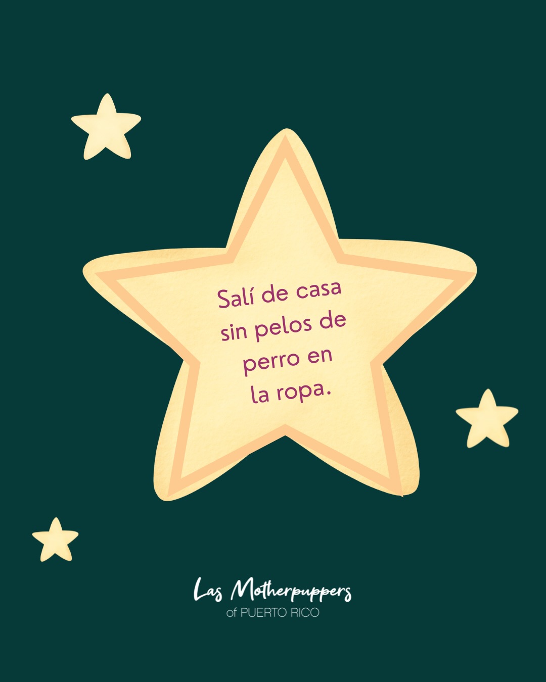 Me merezco una estrella porque sobreviví otra semana de dog mom life en Puerto Rico… y todavía sigo de pie. 🏝️⭐🐾
Desliza para ver mis grandes logros de la semana pasada... porque sí, ¡todos cuentan! 👉
Ahora te toca a ti, dog mom: ¿qué estrella te ganaste esta semana? Cuéntanos en los comentarios. 🐶
#DogMomsofPR #LasMotherpuppers #puertorico #dogmomclub #dogsofpuertorico