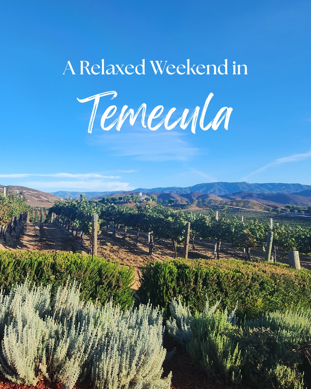✨Planning a Temecula wine tasting trip? A relaxed weekend with three tastings, a long lunch, and time to enjoy the views is better than rushing from winery to winery.
Our new guide includes wineries to visit, where to eat, transportation tips, and an easy two-day itinerary for Southern California wine country.
Read the full guide at the 🔗in bio, and save this for your next wine country weekend. 🔖
#temeculawinecountry #temeculawineries #californiawinetravel #winetripplanning #southerncaliforniatravel