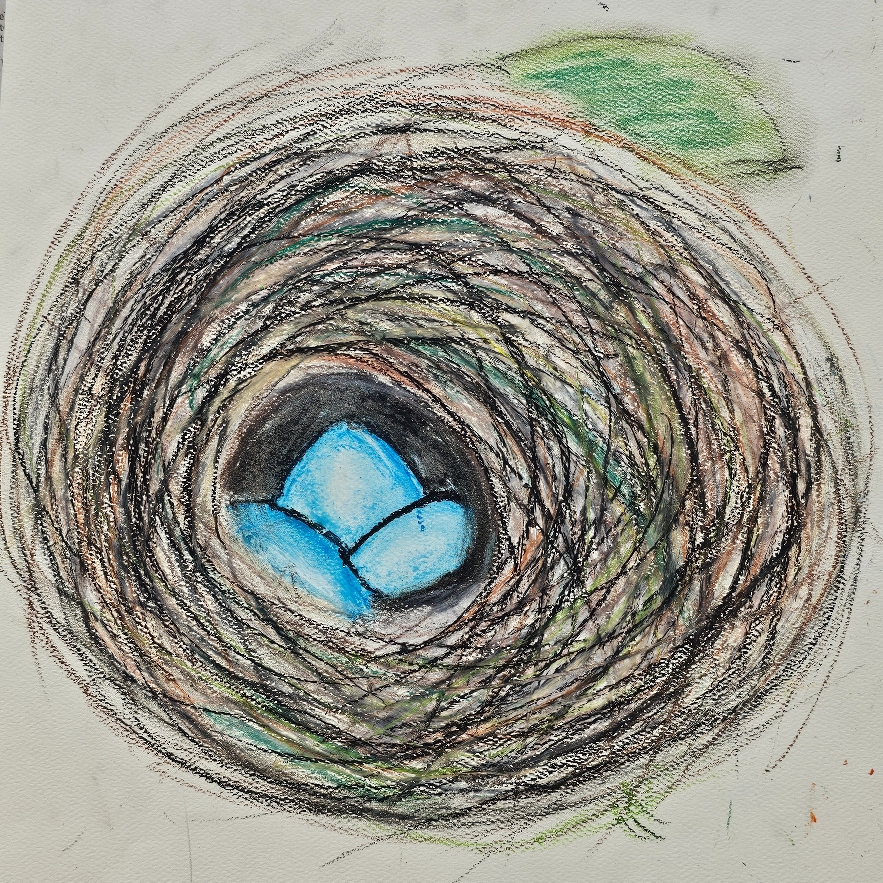 Check out these awesome bird's nest paintings from last week's Go Wild! Elementary Art Camp! These were created using oil pastel and the students did an amazing job!