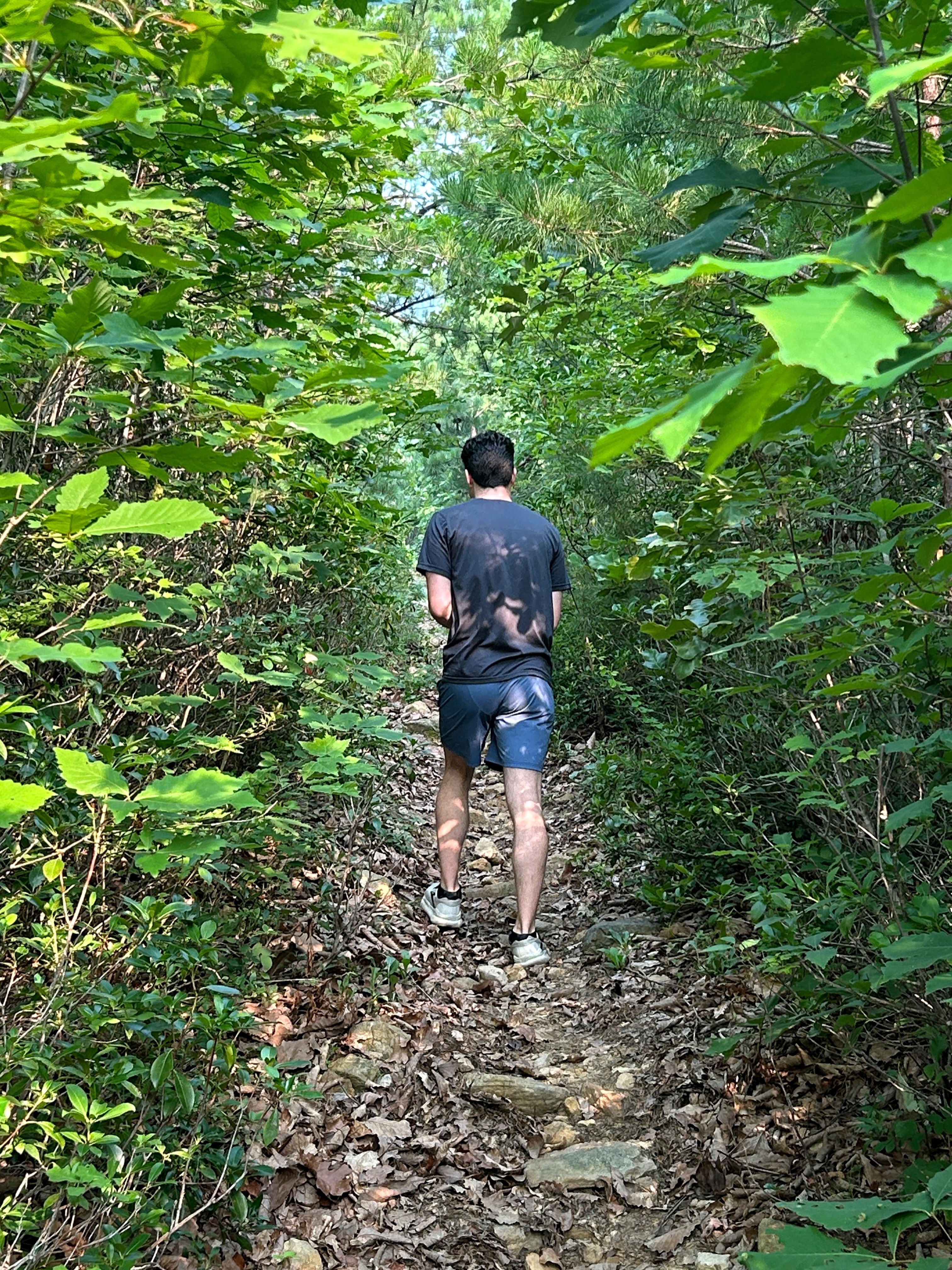 This weekend wasn’t everything we had planned, but it was exactly what we needed.
1) A misplaced start for hike to…nowhere.
2) A driveway that cannot be believed except in person. Film simply cannot capture it. We had to unload before our car could make it. hilarity ensued.
3) Tournament of champions. With brackets. And pickles. And Jesus.
4) A most beautiful wedding in the hottest weather imaginable. Perfection. Except for the part where I had to trim off a quarter of our table because instagram sucks. Full pic in stories.
4) Do not zoom in on our family pic. Did everyone else except me remember to fix their hair before the photo? They did. I look RIDICULOUS.
5) so much dancing. And kids building can towers with cans from literally every table, but also with flowers because teenage girls.
6) Morning after breakfast, and I love these people with my whole heart.
Congratulations to our favorite Anna and her perfect match Jacob. What a celebration’