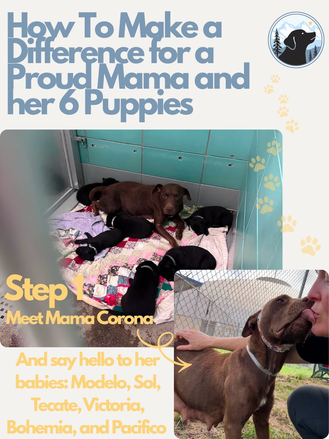 We just said yes to a mama dog and her six tiny babies who were out of time.
This little family was saved from euthanasia, and they are now safe with Mile High Labrador Retriever Mission — but their rescue journey is just beginning.
Mama needs rest, nourishment, vet care, and a safe place to decompress after everything she has been through. Her six babies will need wellness checks, vaccines, preventatives, food, supplies, and ongoing care as they grow strong enough for their next chapter.
Saving a family of seven is beautiful. It is also expensive.
Your donation today helps cover the care this mama and her puppies need now — and helps us continue saying yes when dogs are counting on us most.
Every gift matters.
$10 helps.
$25 helps.
$50 helps.
A share helps, too.
Please donate if you can, and share this post to help us rally support for this sweet mama and her babies.
They are safe because rescue showed up. Now we need our community to help carry them the rest of the way.
Donate at mhlrm.com/donate