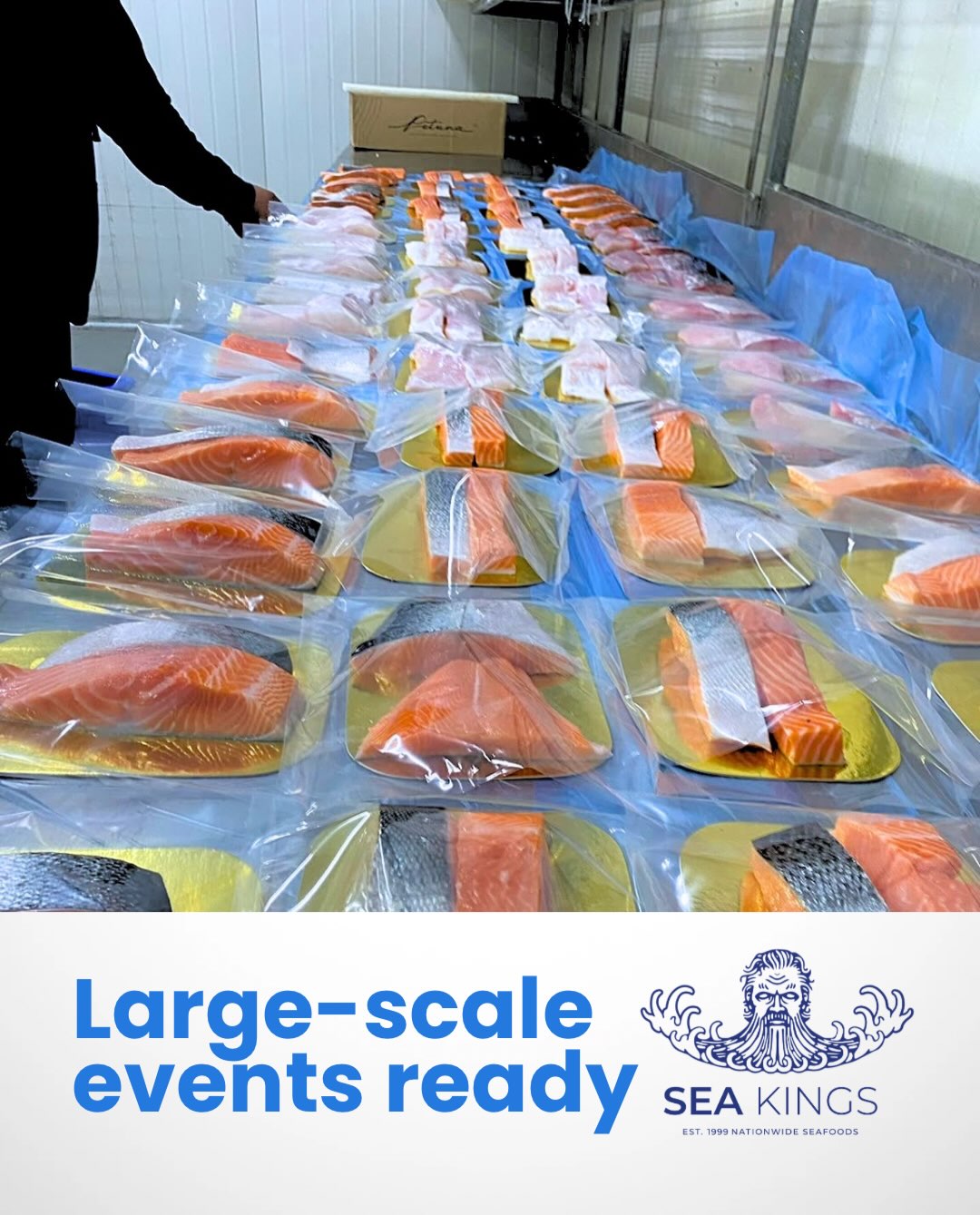 We supply large-scale events with predictable bulk capacity and on-time delivery.
With 27+ years in the supply chain, we’ve supported regional shows with bulk sample packs, strict food‑safety compliance and transparent lead times to remove procurement risk. Our sustainable sourcing and documented delivery windows make planning simple for Melbourne hospitality and institutional teams.
Link in bio to learn more and request a capacity review. 🍽️📦🌱
#MelbourneFoodService #InstitutionalSupply #SustainableSourcing #EventLogistics #MelbourneProcurement