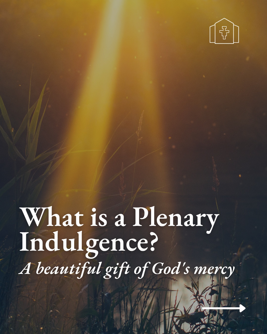 A Plenary Indulgence is one of the many gifts we can receive in our Catholic faith, discover why!