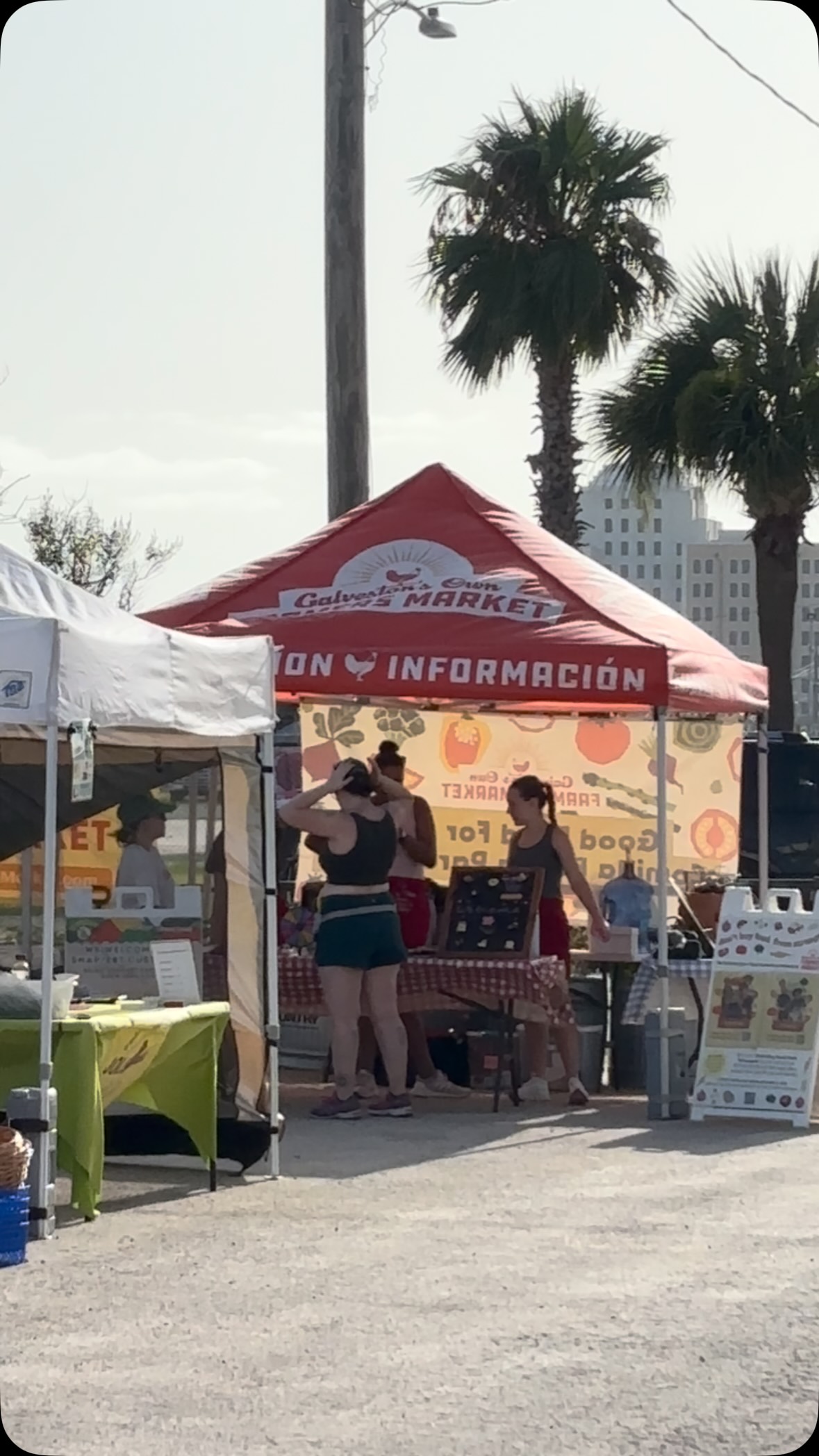 Good vibrations baby! It’s @gofarmersmarket let’s goooo! 9-12 #cakepops #minicake #maximini