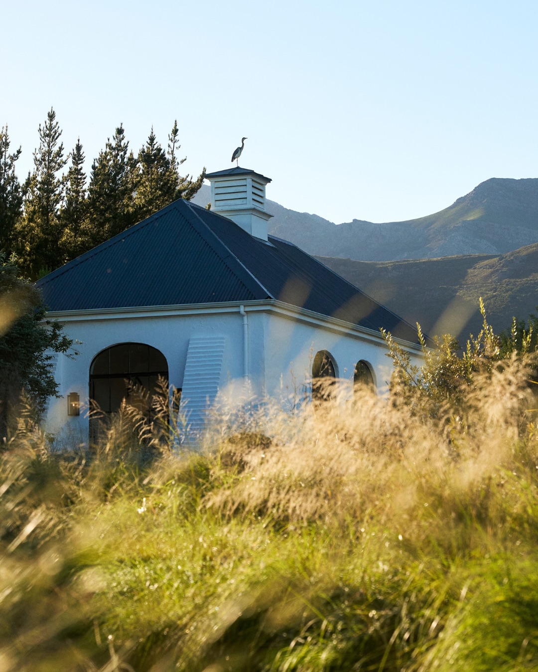 Big things are happening behind these walls...
We’ve been quietly working on a transformation we’re SO excited to share - think luxury, light, and a whole lot of love poured in. The views here have always been magical - soon, everything around them will be too.
Launching in October.
.
.
.
#lacotte #lacottefarm
#franschhoek #franschhoeklife