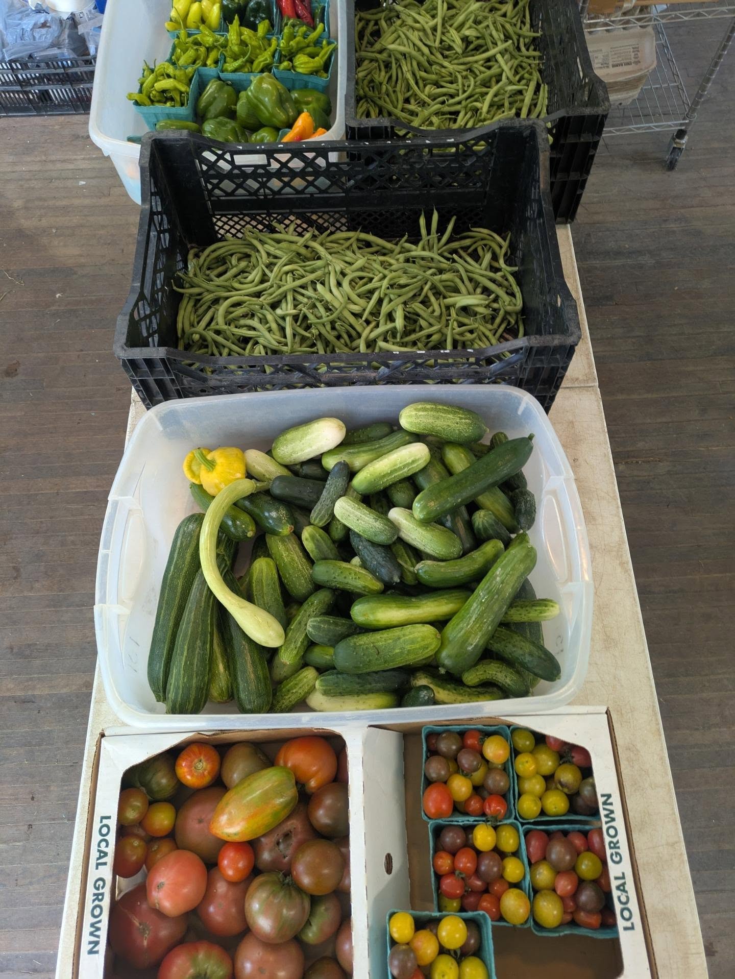 Summer crops! ππ (Come to one of our farm tours this Thursday!!)