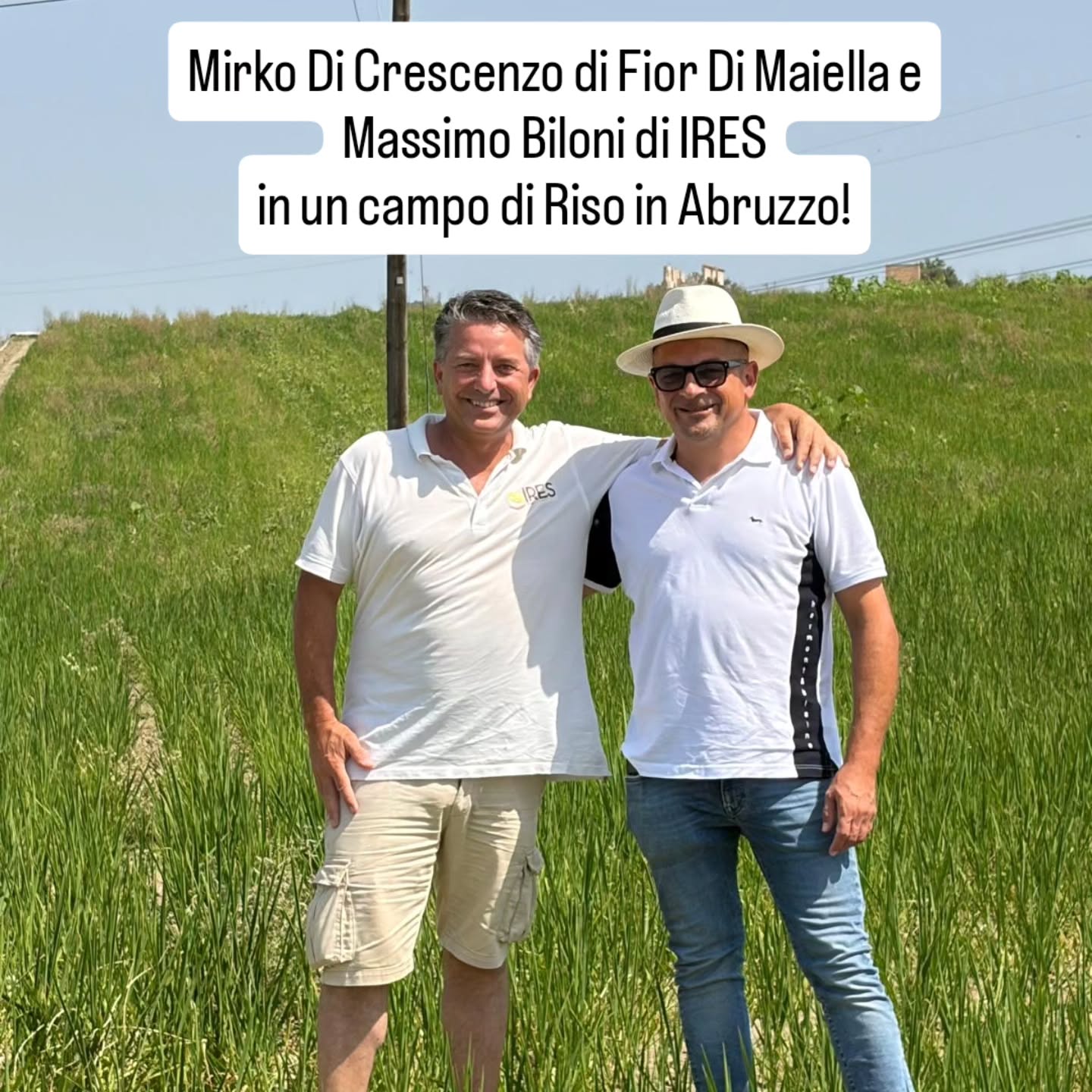 🇮🇹 IRES è partner di Fior di Maiella per il progetto di risicoltura abruzzese di qualita'! Fior di Maiella ha scelto una varietà IRES per valorizzare il riso italiano e proporre un proprio prodotto, di qualità riconoscibile e apprezzato dai migliori clienti.
La Maiella, nella provincia di Chieti, è il secondo massiccio più alto degli Appennini. Il primo è il Gran Sasso nella provincia dell’Aquila, anch’esso in Abruzzo. Dalla Maiella nasce l’Aventino che è il principale affluente del Sangro nella cui valle viene coltivato il riso di Mirko Di Crescenzo per Fior di Maiella!
🇬🇧 IRES as partner with Fior di Maiella for a high-quality rice cultivation in Abruzzo! Fior di Maiella selected an IRES variety to showcase Italian Rice and offer its own product, one recognized for its quality and appreciated by discerning customers. The Maiella massif, located in the province of Chieti, is the second-highest in the Apennines; the highest is the Gran Sasso in the province of L’Aquila, also in Abruzzo. The Aventino River originates in the Maiella; it is the main tributary of the Sangro, and it is in the Sangro Valley that Mirko Di Crescenzo cultivates the rice for Fior di Maiella!
#risoitaliano #risottorice #italianriceexperimentstation
#ricefield #italianrice