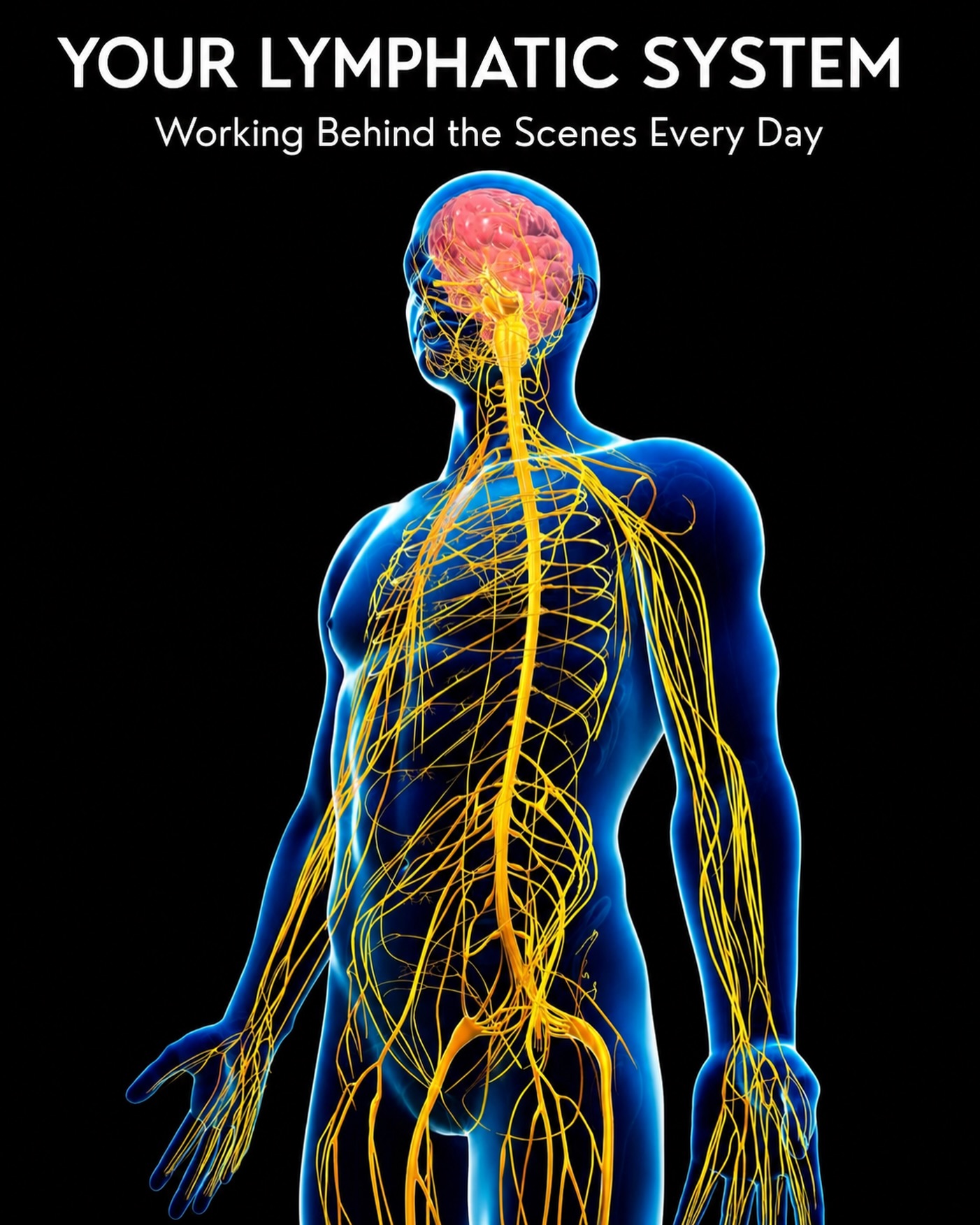 What does your lymphatic system actually do?
Most people know about the heart, lungs and digestive system, but the lymphatic system often goes unnoticed.
Yet it’s working around the clock to help maintain fluid balance, support your immune system, and remove waste from your tissues.
Unlike your circulatory system, the lymphatic system doesn’t have a pump. It relies on movement, breathing, and muscle contractions to keep lymph fluid flowing throughout the body.
Taking care of your lymphatic system through movement, hydration and healthy habits can support your overall well-being. 💙
#LymphaticHealth #HealthyLiving #WellnessEducation #ImmuneHealth #LymphaticSystem