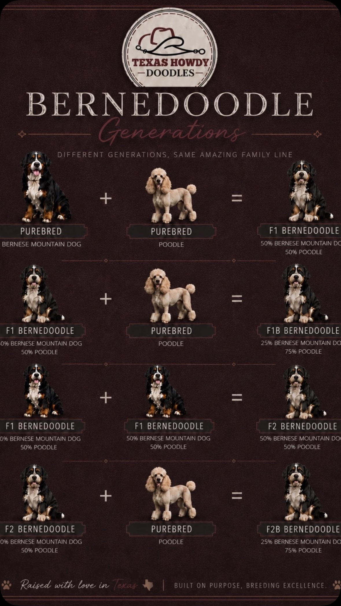 Let’s do it…
One of the biggest questions we get is, “What’s the difference between all the Bernedoodle generations?” So I made this quick guide to make it easy! 🤎
Save this post so you can come back to it whenever you’re comparing generationsor send it to someone who’s searching for their perfect doodle! You’ll thank yourself later once you start doodle shopping. 🐾