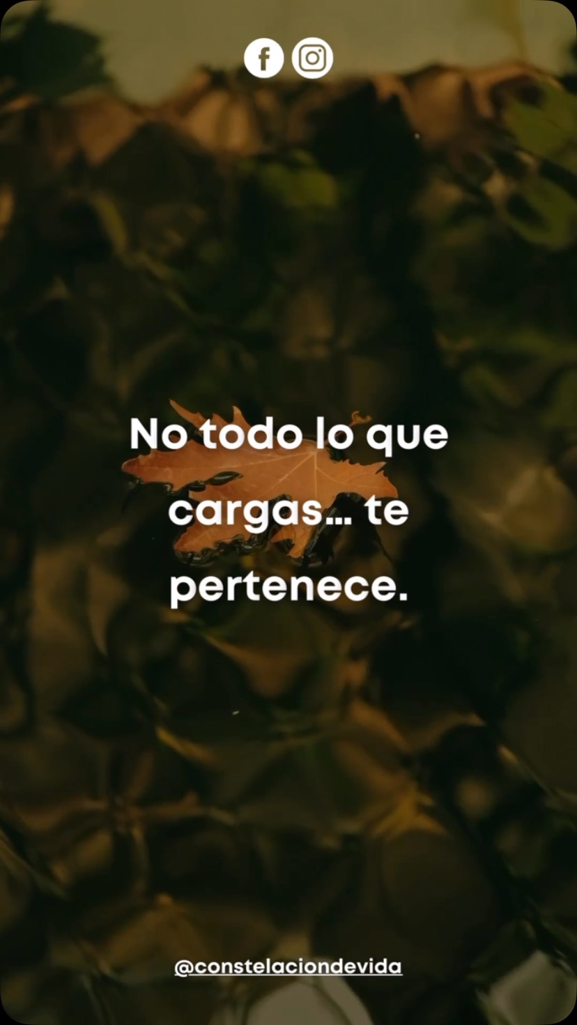 Hay cargas que llevamos durante años sin preguntarnos de dónde vienen.
A veces creemos que nuestra ansiedad, la culpa, el miedo a poner límites o la necesidad de salvar a todos forman parte de nuestra personalidad. Sin embargo, en ocasiones esas formas de actuar pueden estar relacionadas con aprendizajes, experiencias o dinámicas familiares que hemos repetido sin darnos cuenta.
La terapia sistémica invita a observar nuestra historia con una mirada diferente. No para buscar culpables, sino para comprender aquello que nos ha acompañado durante tanto tiempo y abrir espacio a nuevas formas de vivir, relacionarnos y tomar decisiones.
Comprender el pasado no cambia lo que ocurrió, pero sí puede cambiar la forma en la que eliges vivir tu presente.
Tal vez hoy no necesites seguir cargando con responsabilidades que nunca fueron tuyas. Tal vez sea momento de darte el permiso de soltar aquello que ya no te corresponde.
✨ ¿Te identificaste con este mensaje? Cuéntamelo en los comentarios. Me encantará leerte.
🌐 constelaciondevida•com
🔮 Agenda tu sesión enlace en el perfil
📩📲 55 4453 509
#TerapiaSistémica #ConstelacionesFamiliares #SanaciónEmocional #PatronesFamiliares #CrecimientoPersonal