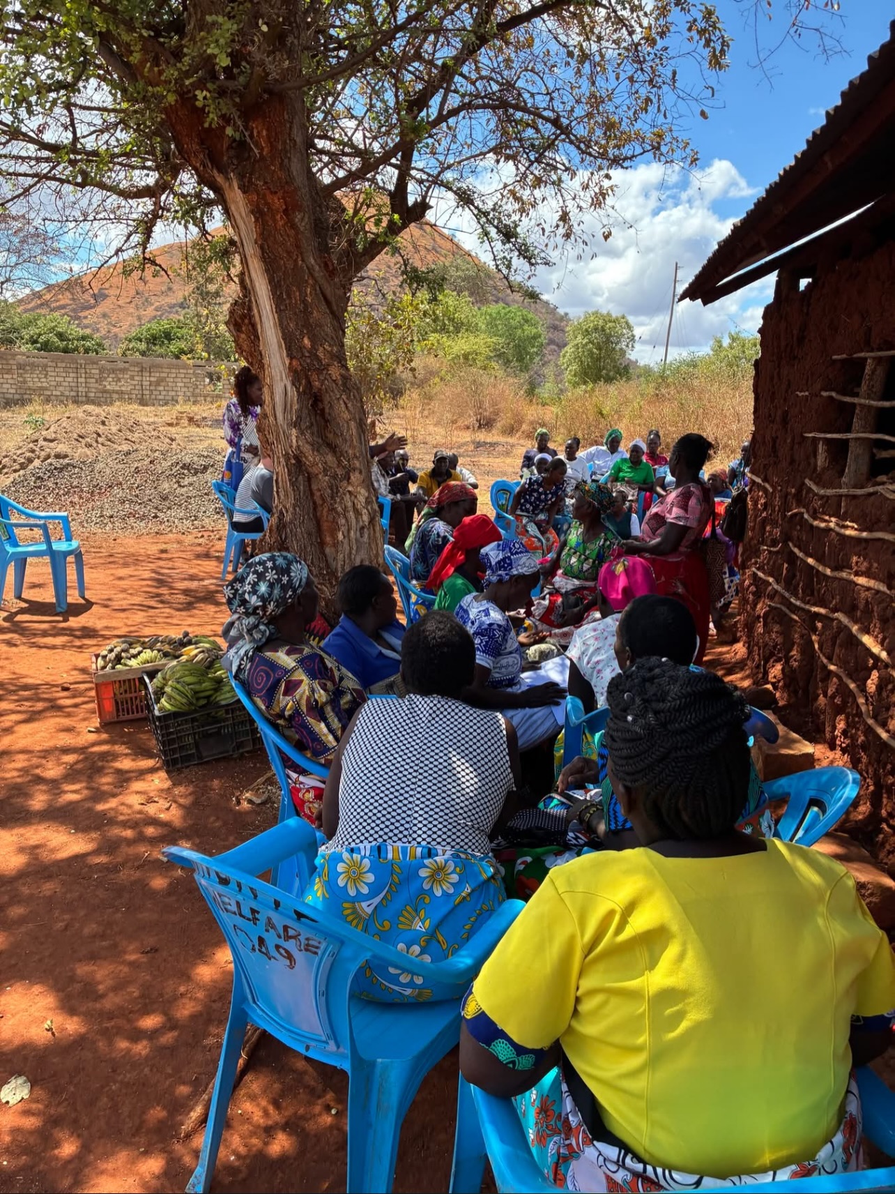 Micro-finance for the disabled/disadvantaged contd... all 2,006 active members of this scheme meet every month at a Centre local to them (pic1), as part of their contract. Here, loans are repaid, new loans given, and generally a meeting of all to discuss challenges, successes and give advice. This has also caused a whole new social dynamic for these people to meet others in similar circumstances, share problems and support each other - the whole thing is peer driven. Joseph (pic2) has a disabled 8 year old son. He has had two loans to buy a motorcycle and provide a local taxi service (boda boda). With his income he can not only repay his loans but is able to support his family and educate his two other children. Martha (pic3) is wheelchair bound, but with her loan she buys fresh veg in bulk, and sells on at market.
You can support new businesses by donating at: https://www.justgiving.com/charity/stpeters-lifeline #stpeterslifeline #kajuki #microfinance #disability #poverty