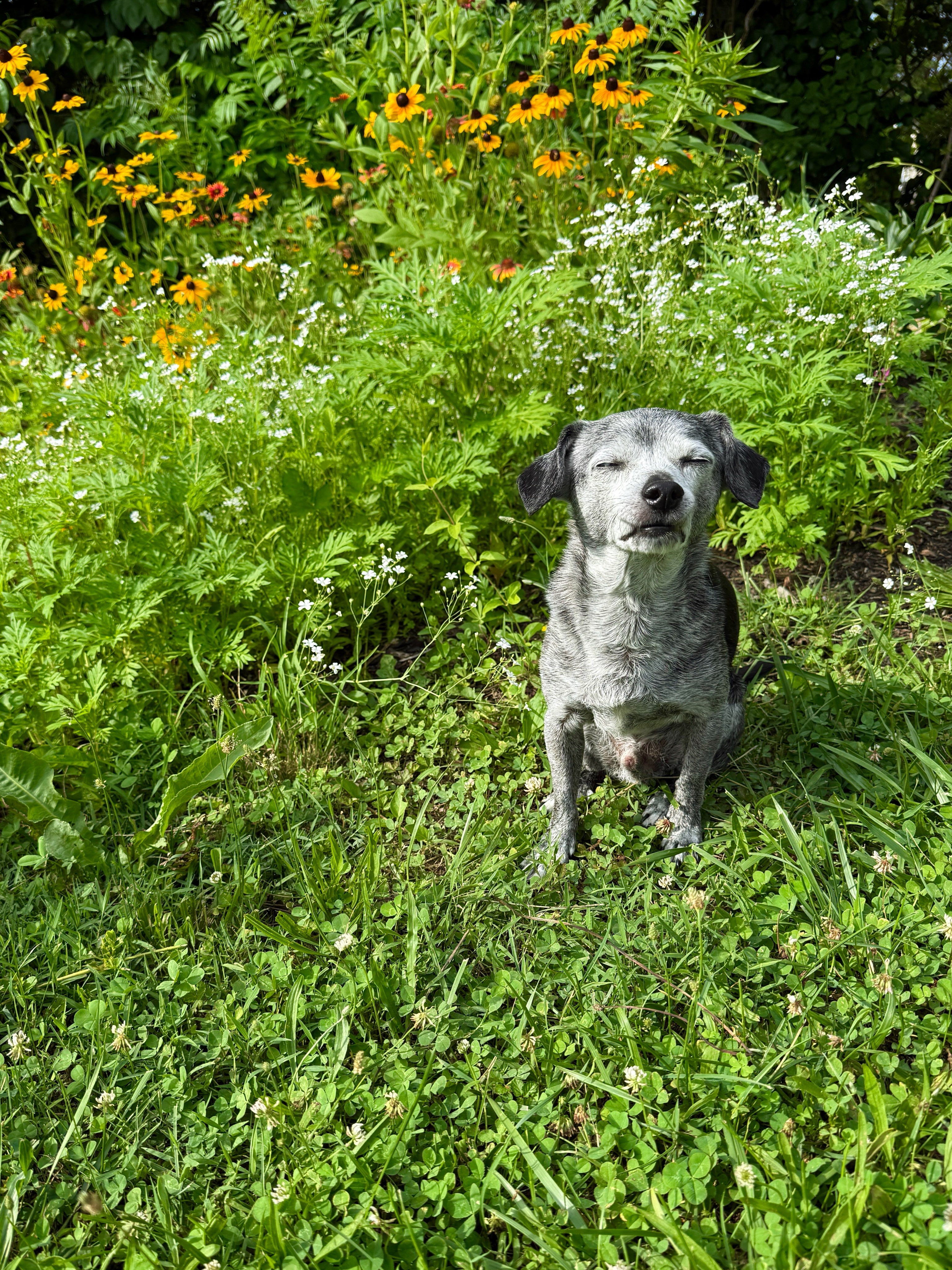 Stopping to smell the roses.