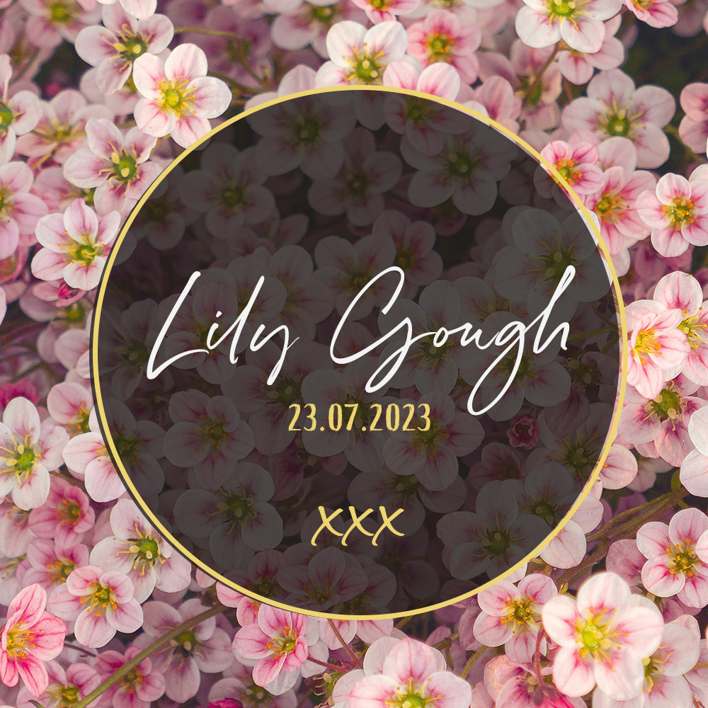 Happy 3rd Birthday Lily 🎉🎈🎁 enjoy your celebrations in the clouds. Thinking of your family today xxx #alwaysloved ❤️