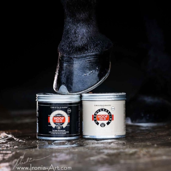 HOOFBALM Black & Clear 🖤🤍
Herausragende Farbverstärkung speziell für schwarze Hufe, sowie farbloser Glanz für alle helleren Hufe ✨
Gleichzeitig werden die Hufe natürlich gepflegt und mit wichtigen Nährstoffen versorgt!
@carrdaymartin
#carrdaymartin #hufbalsam #hufpflege