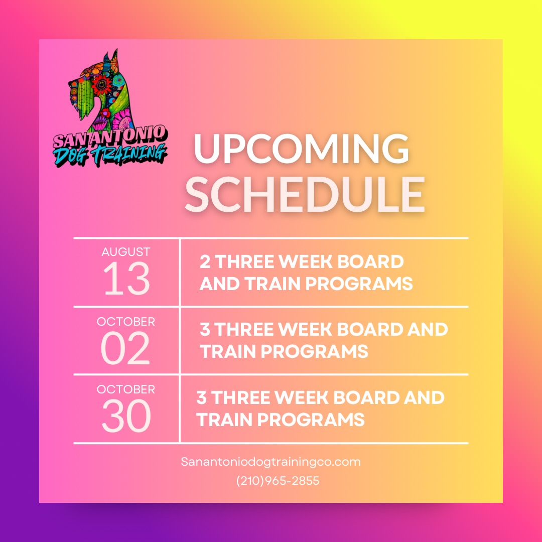 SCHEDULING INFORMATION!
I have been getting a lot of requests for November so for our Board and Trains we will begin that cycle October 30th to open space for client boarding during Thanksgiving! September is completely booked for Board and Trains and I will be taking December bookings after I get back on August 12th! If you are looking to book for an advanced date all that is required is a deposit the rest is not due until you start your program!
Thank you everyone for a wonderful Summer and I look forward to working with you this Fall!
#dogtrainingsanantonio #boardandtrain #balancedtraining