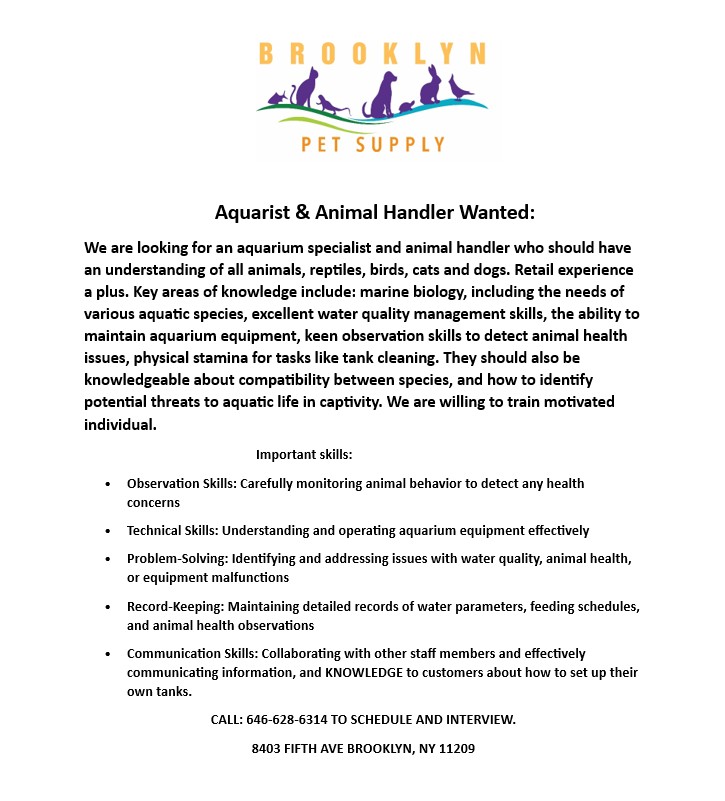 Looking for a unique career working with aquatic life and animals? Brooklyn Pet Supply is seeking an Aquarist & Animal Handler to join their team!
The ideal candidate will have knowledge of:
✅ Aquarium maintenance & water quality management
✅ Marine biology and aquatic species care
✅ Reptiles, birds, cats, and dogs
✅ Animal health monitoring and observation
✅ Customer education and communication
Retail experience is a plus, but motivated individuals are encouraged to apply. Training is available!
Key skills include:
🔹 Observation & animal care
🔹 Aquarium equipment operation
🔹 Problem-solving & troubleshooting
🔹 Record-keeping & organization
🔹 Customer service & communication
📞 Call 646-628-6314 to schedule an interview
📍 Brooklyn Pet Supply
8403 5th Avenue
Brooklyn, NY 11209
Know someone who would be a great fit? Tag them below or share this post!
#BayRidge #NowHiring #JobOpportunity #BrooklynJobs #Aquarist #AnimalCare #MarineBiology #ShopLocal