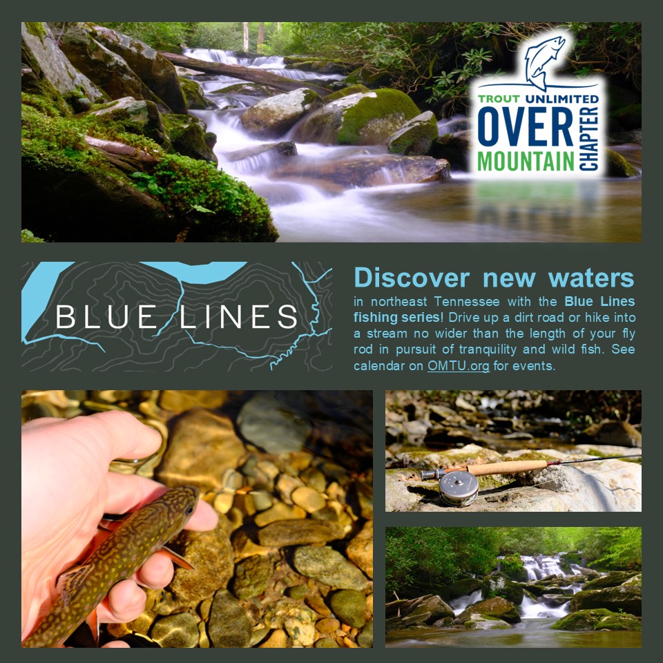 Our upcoming Blue Lines Fishing Day at Horse Creek this Saturday morning has been moved to over the ridge to the Margarette Falls area due to damage at the Horse Creek recreation area due to floods in the last couple weeks. See omtu.org calendar for details!