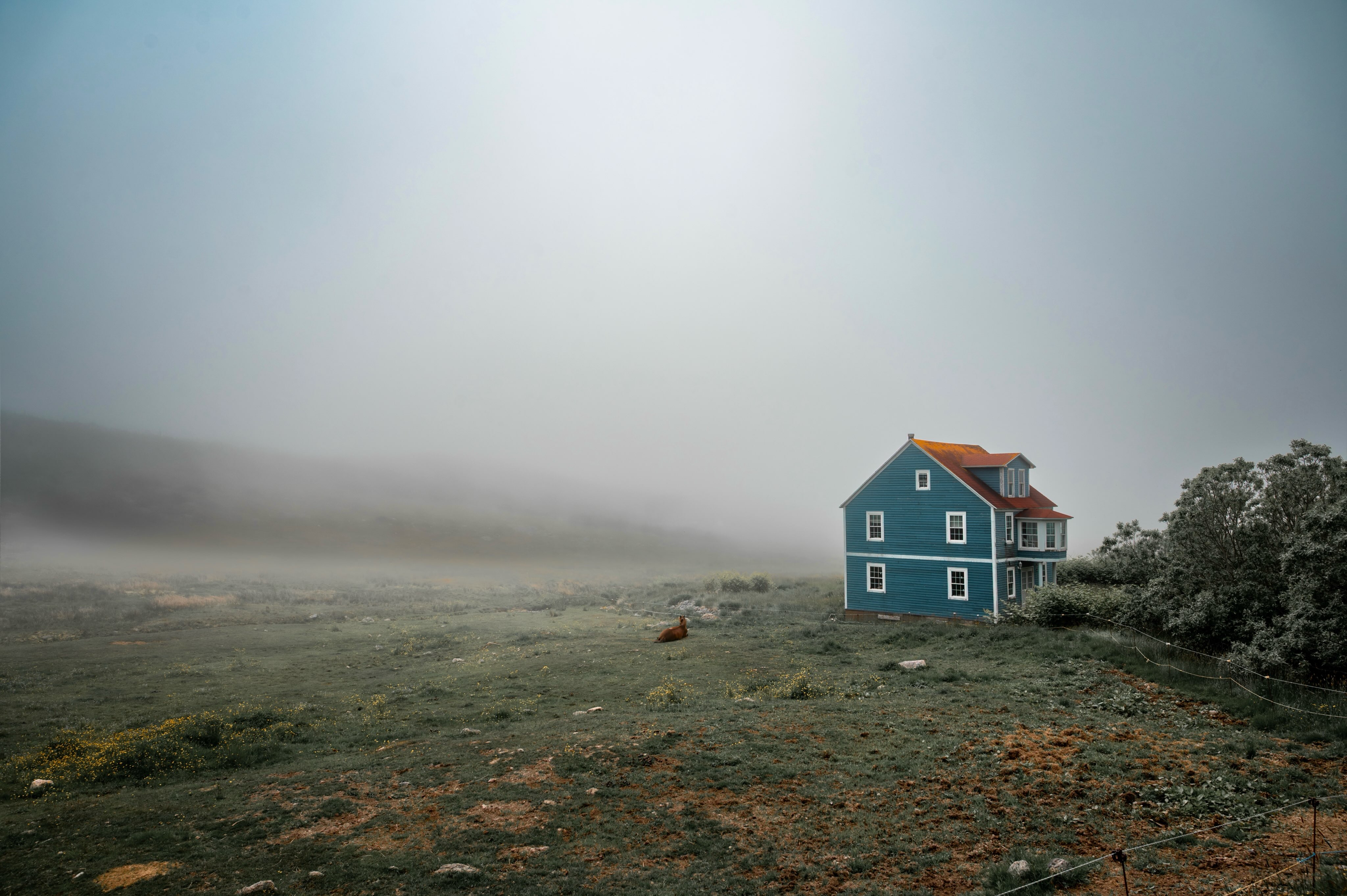 Dans les prochains posts, je vous emmène dans un coin de France méconnu. Un archipel au large de Terre-Neuve. Un territoire français en Amérique du Nord. Bienvenue à Saint Pierre et Miquelon.
Ce territoire de 250km2 m’a surpris à plus d’un titre. Outre ces paysages, c’est l’accueil chaleureux de ces habitants qui m’aura marqué le plus. Je commence ces posts avec une photo tirée de « Brumes ». C’est totalement l’image que je me faisais de Saint Pierre avant mon arrivée. Je comprends complètement pourquoi Olivier Norek y a installé l’intrigue de son roman « les brumes de capelans »…
#spm #photodevoyage #laoujevais #photographedevoyage #brumes