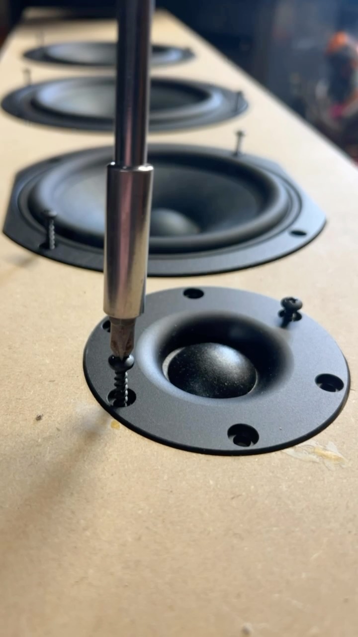 Have you had a chance to build your own set of speakers?
CSS-audio.com