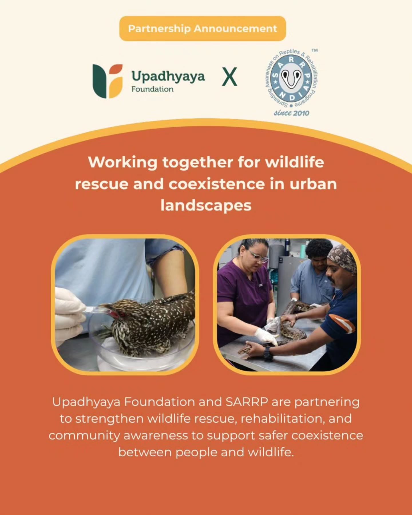 We are proud to partner with Spreading Awareness on Reptiles and Rehabilitation Programme (SARRP India) for FY 2026–27.
SARRP India is dedicated to rescuing, rehabilitating, and protecting distressed wildlife while promoting peaceful coexistence between people and animals. Through wildlife rescue operations, veterinary care, public awareness, and community engagement, the organisation works to reduce human-wildlife conflict and ensure that injured and vulnerable animals receive the care they need.
Through this partnership, we are supporting wildlife rescue and rehabilitation operations, veterinary treatment and care, frontline rescue teams, and the operational infrastructure needed to respond effectively to wildlife emergencies. Together, we aim to strengthen rescue capacity and promote safer coexistence between people and urban wildlife.
We look forward to working with the SARRP India team to create safer environments for both wildlife and communities, ensuring that more animals receive timely care and a second chance.
Learn more about their work: https://sarrpindia.org
#Philanthropy #WildlifeRescue #Coexistence #AnimalWelfare #UpadhyayaFoundation