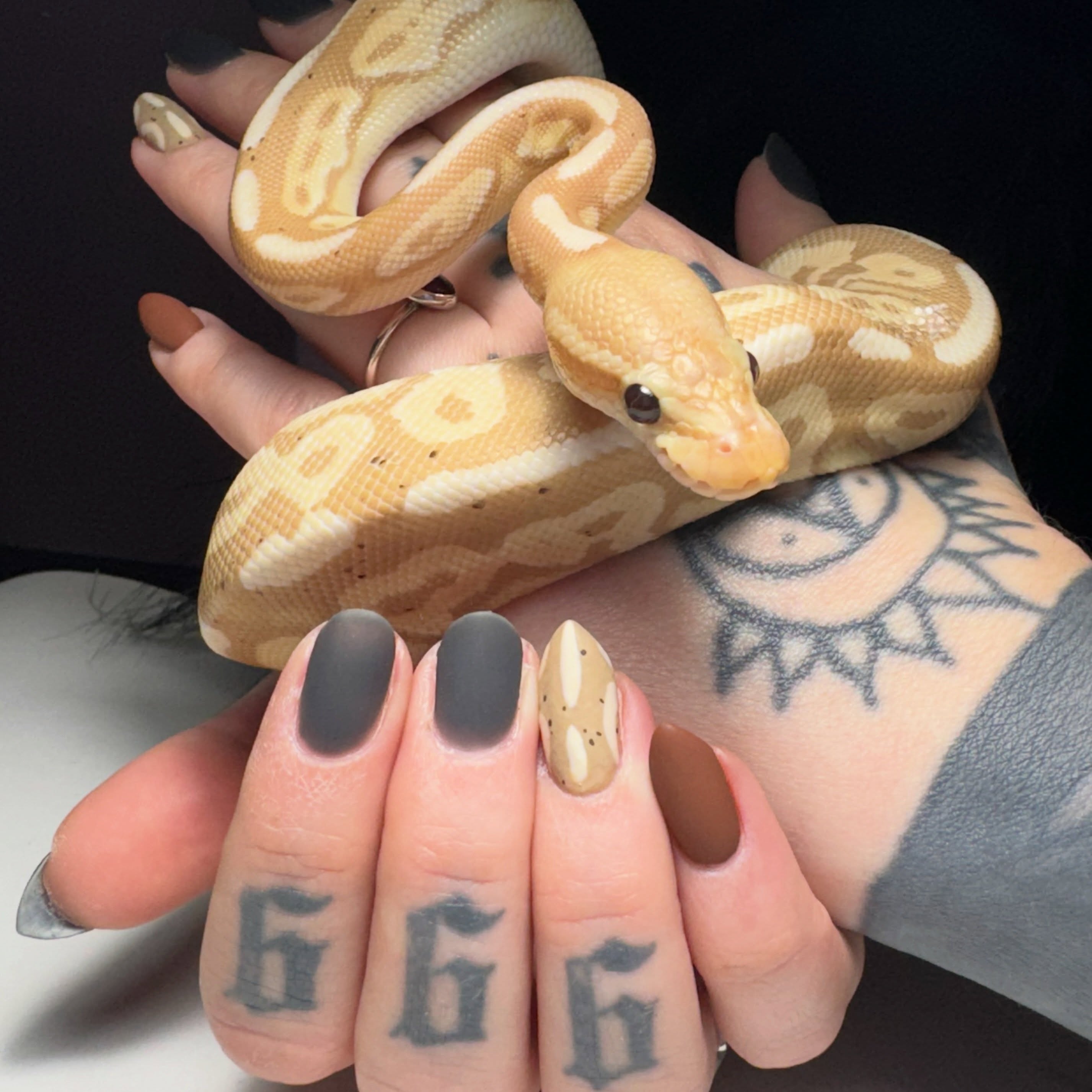 Mommy and me matching nails… and scales? 😆
@vampy.vix
Prep @ericasata
Color @kokoistusa & @pla_nails
#nailart #structuredgelmani #snake #snakeprintnails #nailvira