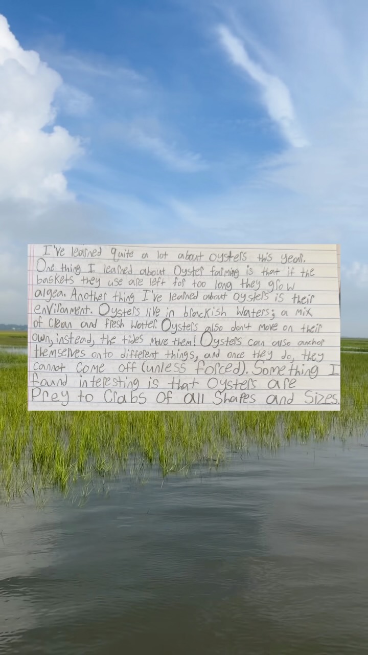 As we ramp up for the new school year, our mission remains the same: to inspire the next generation to connect with, understand, and protect our local ecosystems!
Reading this essay from a 7th grader at Esther F. Garrison School for the Arts was the perfect reminder of why hands-on learning matters! Check out a few of their favorite oyster facts.
We can’t wait to get back into the classroom and out on the water with more amazing students this school year!🌊🦪📝