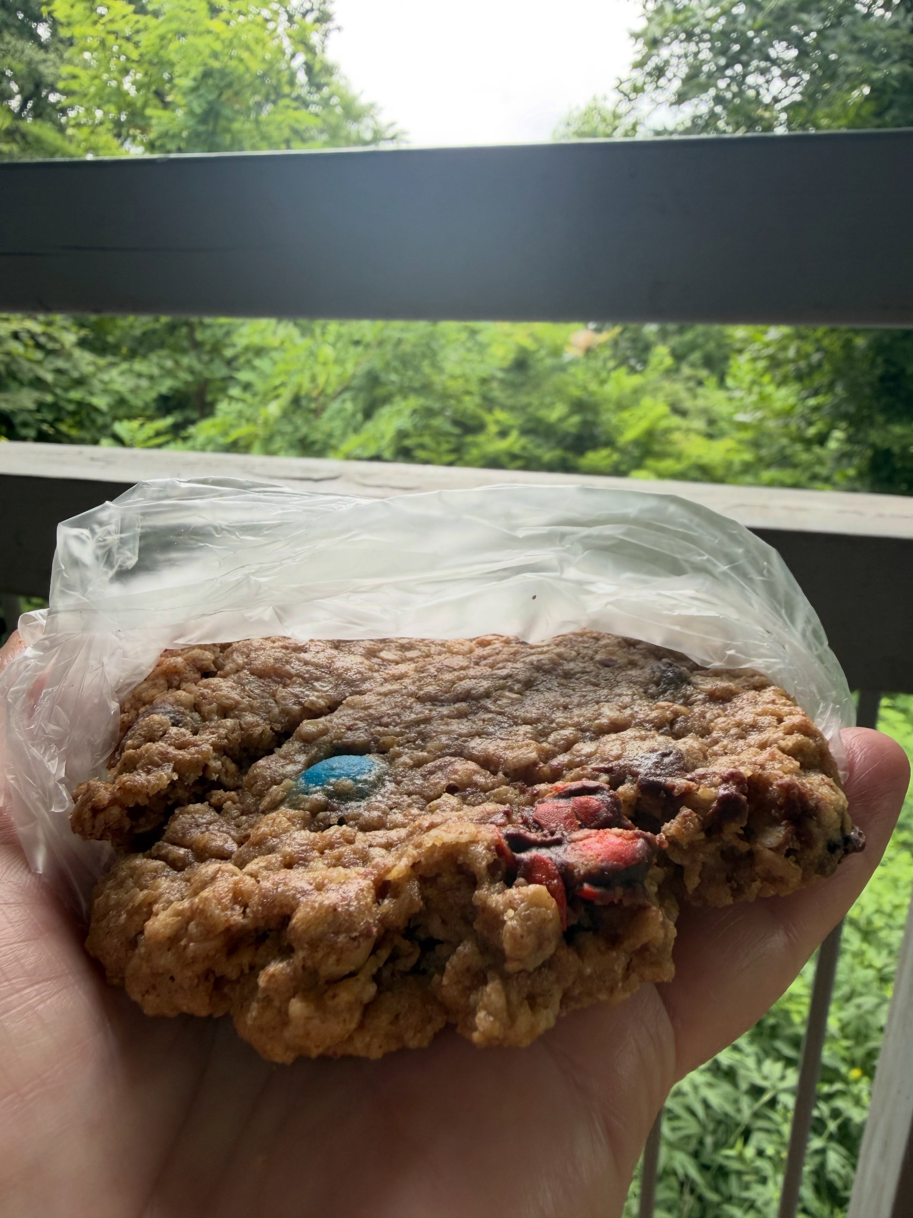#outandabout You, too, would hike nearly 10 miles round trip for Len Foote Hike Inn’s Amicolicious cookie (peanut butter, oatmeal, chocolate chips and M&Ms.) This treat is part of the inn’s sack lunch, available for purchase, that also includes a sandwich and trail mix. @ilovehikeinn @destinationdawsonville @exploregeorgia #lenfootehikeinn #hikeinngeorgia #hikeinn #destinationdawsonville dawsonvillega exploregeorgia