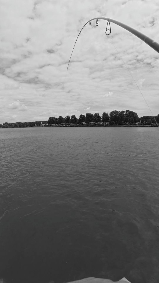 It's sabotage 😵💫
⚡ Rod: St. Croix Legend X2
⚡ Reel: Shimano Vanford
⚡ Line: Climax X8 Never Fade
⚡ Leader: Gamakatsu G-Line Fluoro Carbon
⚡ Lure: Delalande GT Shad
#stcroixrods #yamahaprofishing #spro #delalandepeche #shimanoreels