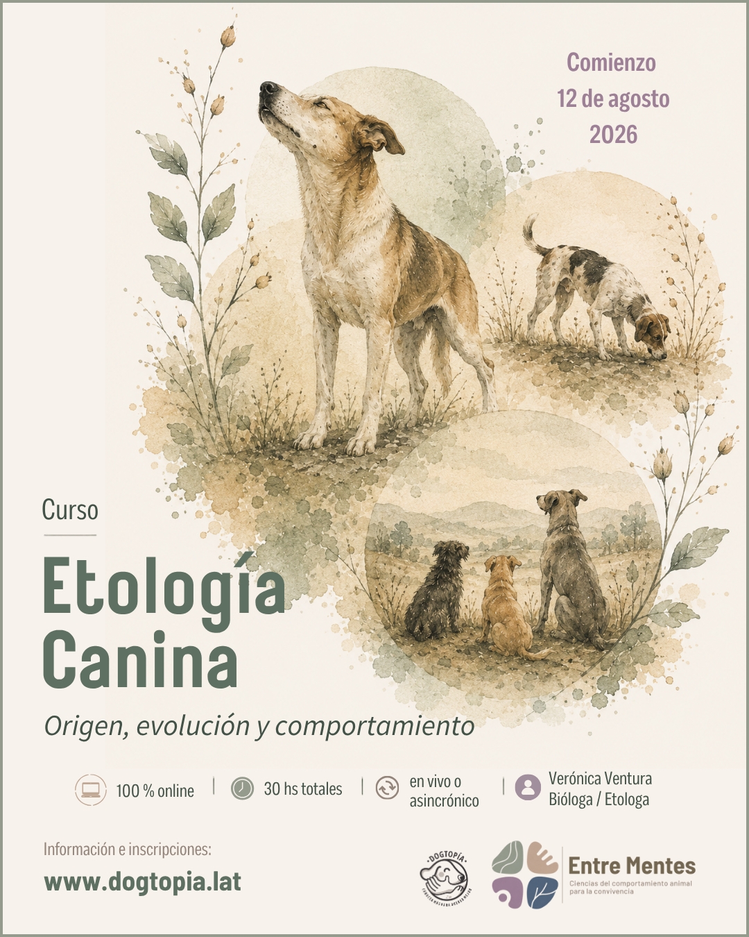 ¡Vuelve el curso más pedido, en su edición 2026!
Etología Canina: origen, evolución y comportamiento.
Una formación 100 % online de 30 horas, para comprender en profundidad a los perros desde la ciencia.
Podés cursar en vivo o de forma asincrónica.
📅 Comienza el 12 de agosto de 2026
👩🏫 Dictado por Verónica Ventura, bióloga y etóloga
Toda la información e inscripciones en la web.