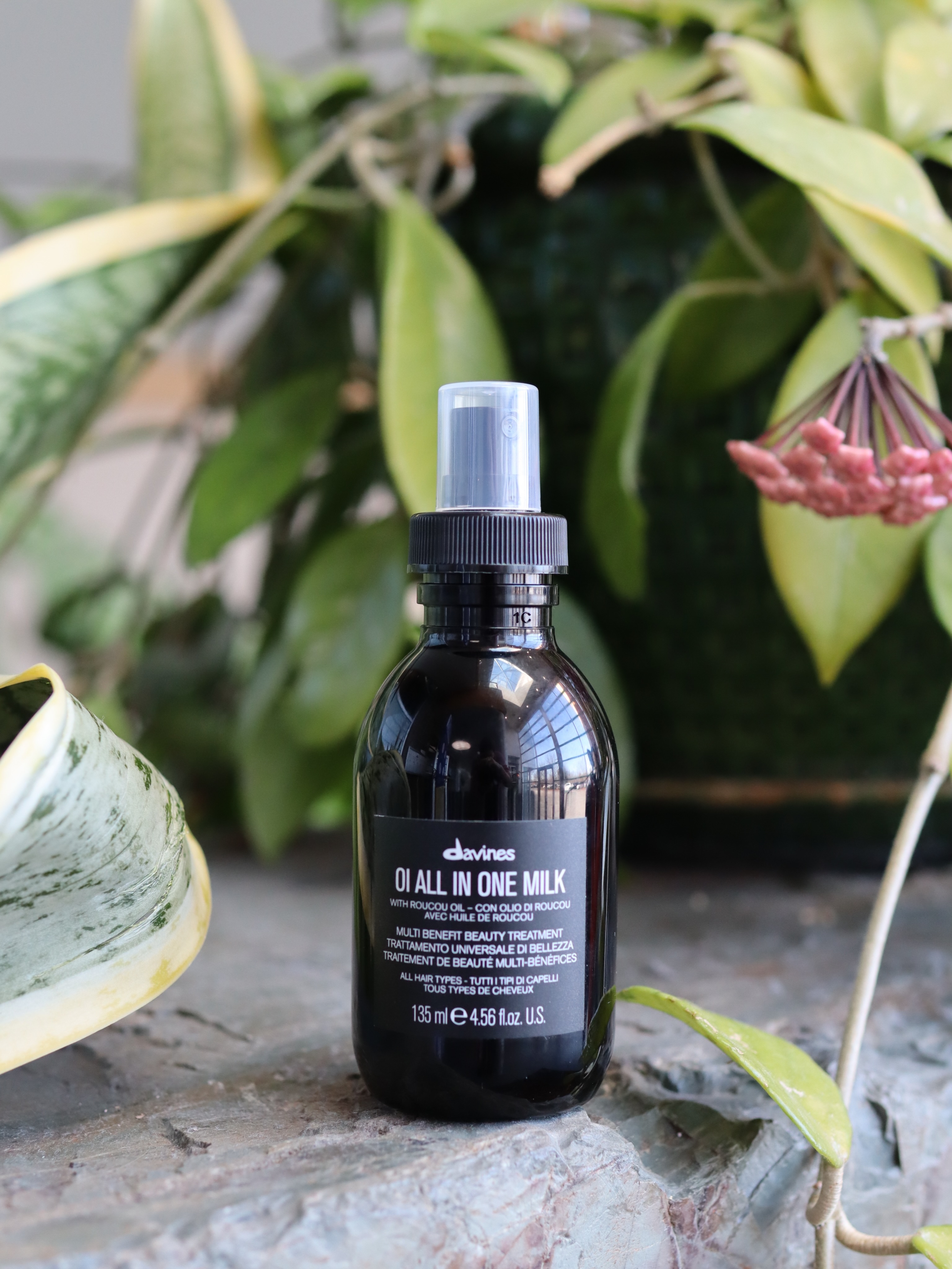 Christmas in July is BACK! ☀️🎄
Our favorite sale of the summer is going on now!
❤️ 20% OFF all retail products
❤️ 30% OFF liter sizes
It’s the perfect time to stock up on all your hair and skincare favorites while saving big. Don’t miss this once-a-year event!
AND every purchase of a full-size product gets you an entry to win our amazing raffle basket (valued at $400)!✨
📅 July 21–26 only. See you soon!