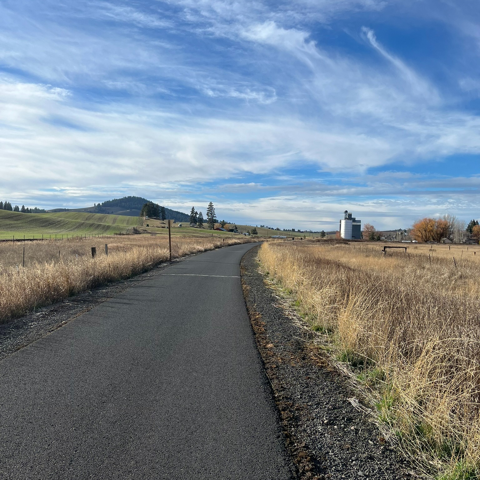 Latah County Parks will be repairing cracks on the Latah Trail between Moscow and Troy over the next few weeks. Please be on the lookout for the workers doing this needed maintenance. Every effort is being made to keep the trail open while the repairs are underway. You may need to walk along the shoulder of the trail when passing the work crew.
Also, note that Perimeter Drive, on the west side of the University of Idaho campus, will be under construction until May 2027. The path from the UI to the Chipman Trail has a detour as the street cannot be crossed during this road work.