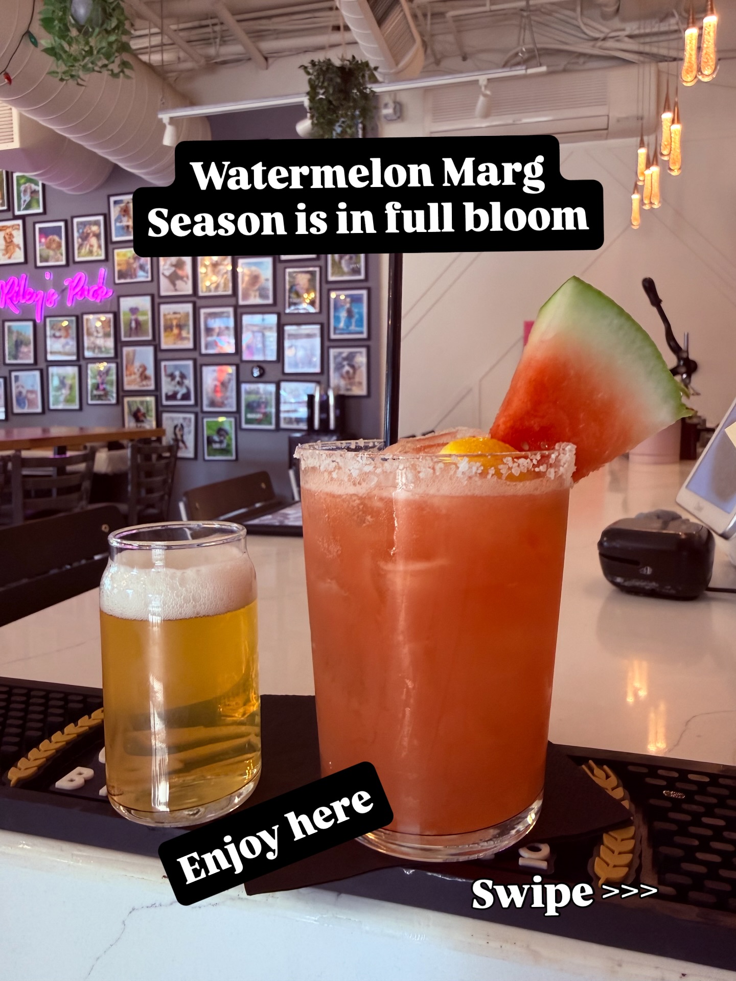 🍉 see what we did there 🙃😆
Watermelon cocktails are live at both locs!
#spicymarg #watermelonmargarita #thirdwardmke #bayviewmke