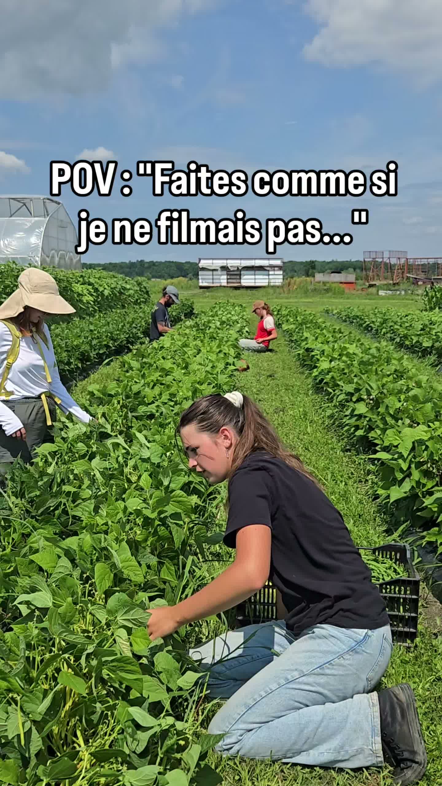 C'est tout le temps comme ça 😅
#humour #recolte #maraicher#récolte #récolté #récoltedujour
