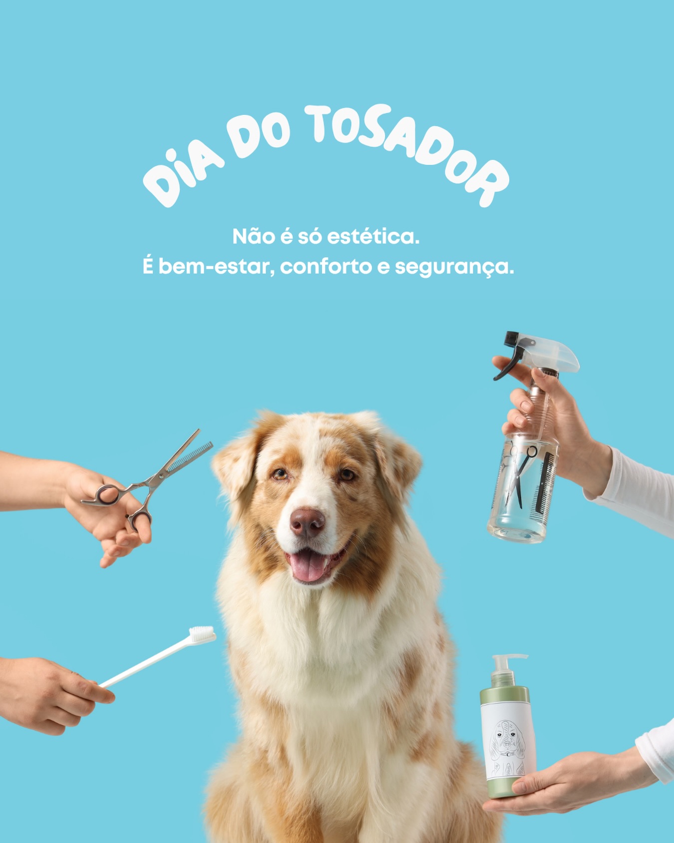 O trabalho do tosador vai além do que se vê. 🐶
Hoje é dia de reconhecer quem cuida com cuidado, amor e muita precisão. É técnica, cuidado e atenção em cada etapa, sempre respeitando o tempo, o comportamento e o bem-estar do pet.
Hoje, reconhecemos esses profissionais que fazem parte da rotina de cuidado e contribuem diretamente para a saúde e qualidade de vida dos animais.
Nosso respeito e reconhecimento a todos os tosadores ✂
#DiaDoTosador #Petplace #CuidadoAnimal #ProfissionaisPet #BemEstarAnimal