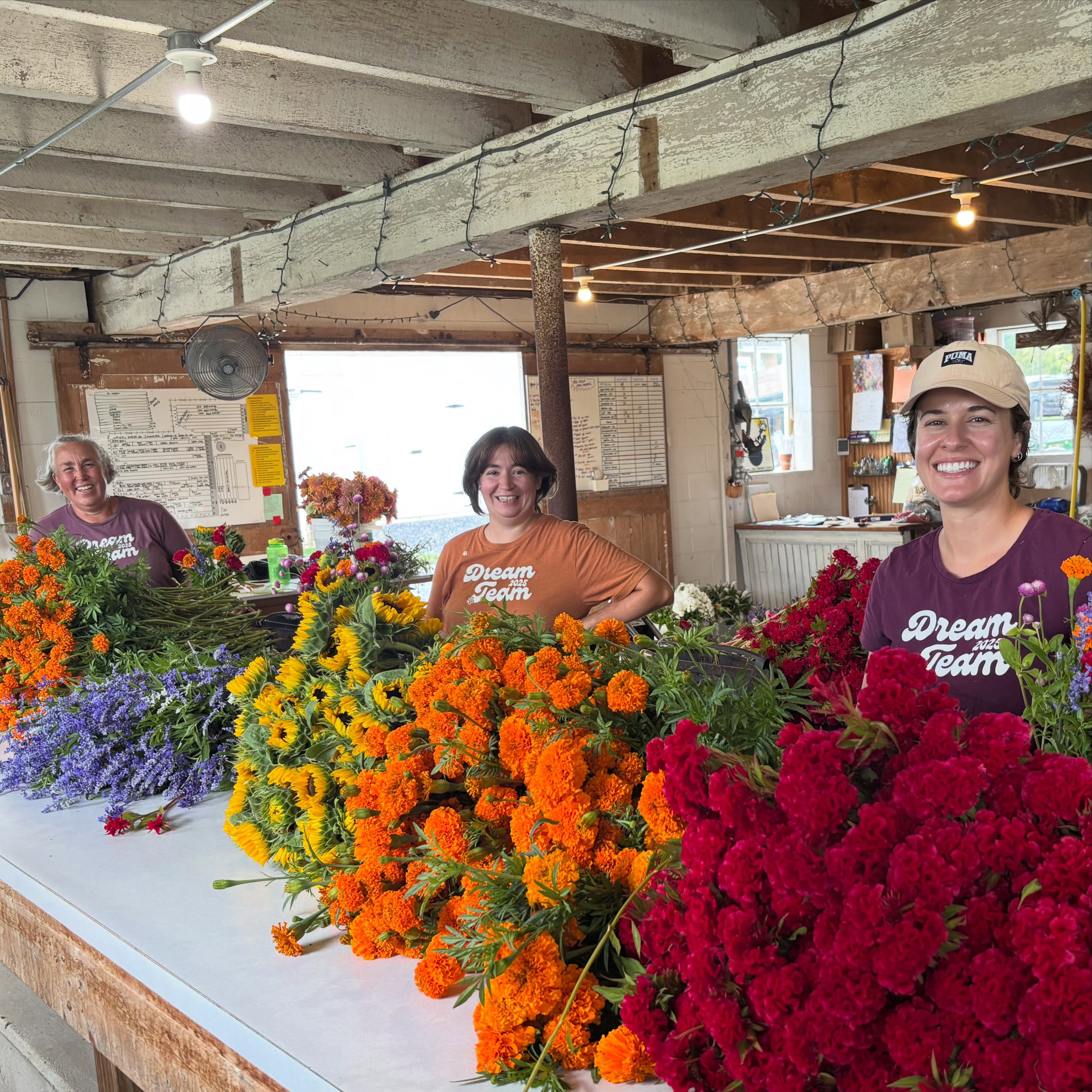 I changed my shirt to match Katie & Paige yesterday. We were the day’s bouquet makers, in uniform. We do our best to make our bouquets consistent so each customer receives uniform value; dress for the job you want!
This team is really coming together for the season in every way. In its best form, we are a well-oiled system working synergistically towards a common goal.
I look forward to talking teams and crew culture alongside my pals @butterbee_farm and @delightflowerfarm in just two weeks at our @ascfginc farm tour. Morning is sold out, but a few afternoon spaces remain if you’d like to join. All registration is via ASCFG.
And big thanks to my Roots employees for truly being The Dream Tram.