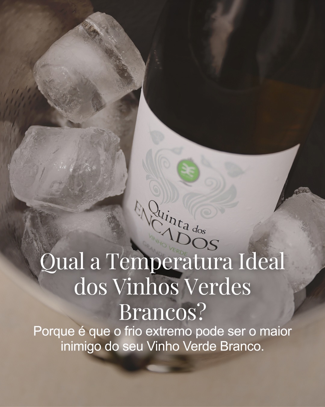 Sabia que servir um verde branco demasiado frio impede-o de sentir toda a sua complexidade? 🍷❄️
Existe o mito de que o Vinho Verde deve estar bem frio, mas a verdade é que as temperaturas excessivamente baixas (abaixo dos 5°C) acabam por “anestesiar” o paladar: os aromas cítricos escondem-se e a alma frutada do vinho perde-se.
Deslize para o lado para descobrir como encontrar a temperatura ideal dos vinhos verdes brancos. A paciência é, de facto, o ingrediente secreto para despertar os seus aromas escondidos.
Já conhecia a regra dos 30 minutos? Conte-nos nos comentários qual é o seu ritual para servir um branco no ponto ideal! 👇
#QuintaDosEncados #WineTourism #RegiaoDemarcadaDosVinhosVerdes #TemperaturaDosVinhosVerdesBrancos
EN
Did you know that serving a Vinho Verde white too cold prevents you from experiencing its full complexity? 🍷❄️
There is a common myth that Vinho Verde should be “ice-cold,” but the truth is that excessively low temperatures (below 5°C) end up “numbing” the palate. When this happens, the citrus aromas hide and the fruity soul of the wine is lost.
See below how to find the ideal temperature for Vinho Verde whites:
1.Neither Ice-Cold nor Lukewarm
Vinho Verde white wine should be served between 8°C and 10°C. Above this range, the alcohol becomes more pronounced and the wine loses its freshness, while serving it too cold mutes its aromatic expression.
2. Chill it 2 Hours Before Serving
The secret? Take it out 30 minutes before opening. Since domestic fridges are very cold, this brief rest at room temperature allows the wine to ‘wake up’ at its ideal point.
3. The Art of Keeping the Temperature at the Table
Use a wine cooler sleeve or a bucket with water and ice simply to maintain the temperature of the wine taken from the fridge. Service remains elegant and the wine’s flavor stays consistent.
4.Need to Chill it in 15 Minutes (in a hurry)?
Forget the freezer (it alters the flavor). Instead, use a bucket filled with 1/3 ice, 1/3 water, and a handful of coarse salt for a faster cooling process.
5. Serving is an Art. Temperature is its Mastery.
We believe that excellence lies in precision. Ensuring that our Vinho Verde White reach