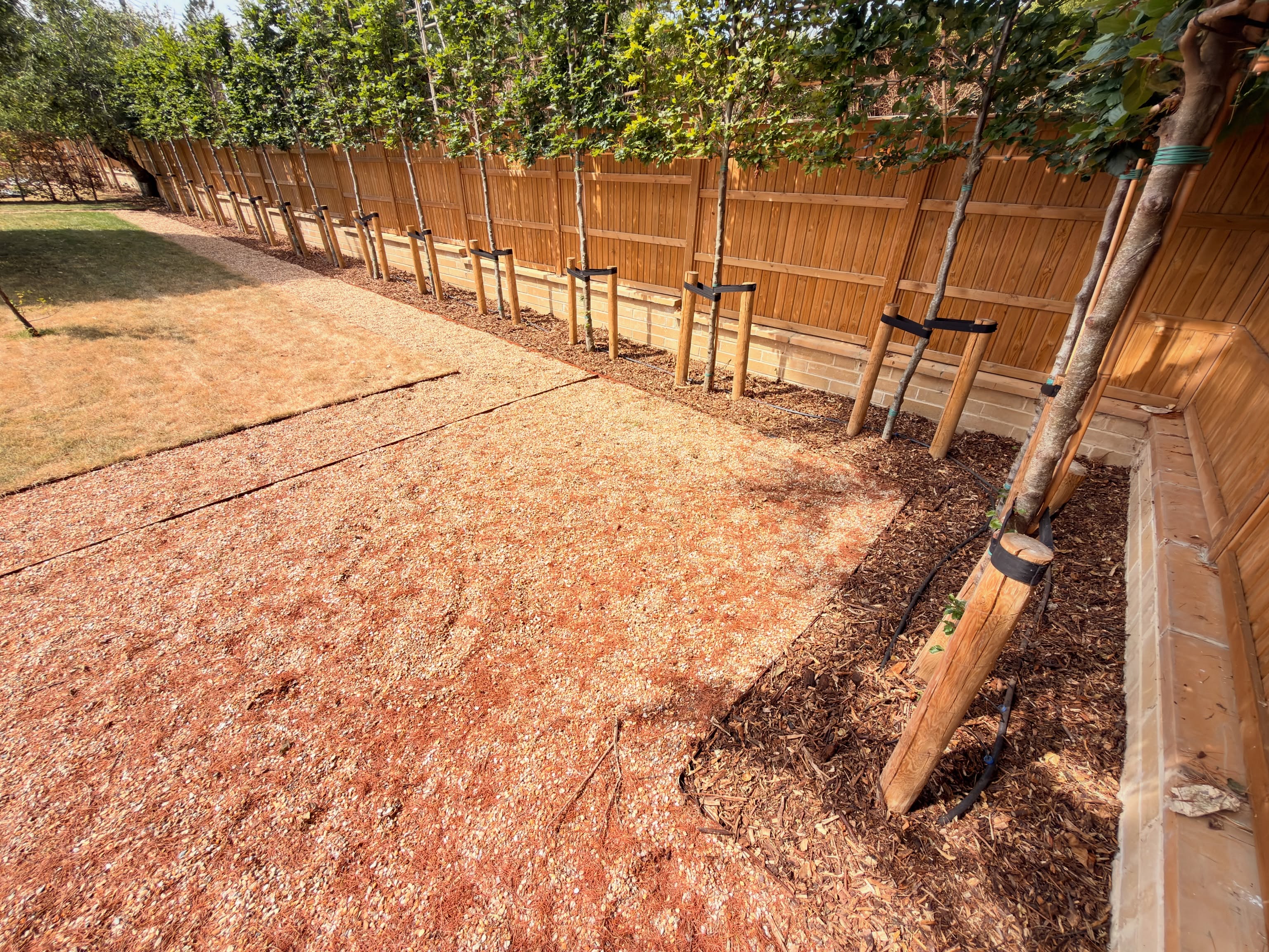 🥵 What a day! But just look at the finished result… 😍🌳
Today was all about getting fresh mulch down around these beautiful tree beds, and what a difference it makes! 🌿👌
It was a long, hot, and very sweaty day for the team ☀️💪, but seeing the transformation at the end made every wheelbarrow worthwhile. We carefully spread fresh bark mulch throughout the beds, creating a crisp, uniform finish that really makes the tree line pop 🌳✨
Mulching isn’t just about making a garden look smart either! It helps retain moisture during this hot weather 💧, suppresses weeds 🌱, regulates soil temperature, and gradually breaks down to improve the soil over time. It’s one of the best ways to keep newly planted trees healthy and thriving.
The clean edging, fresh mulch, and stunning avenue of trees have completely transformed this area into a tidy, low-maintenance landscape that’s built to last 🙌
It’s jobs like these that remind us how the finishing touches can make all the difference! 👌
What do you think of the transformation? 😍👇
M.J.B Group Ltd
Tree & Garden 🌿
📱 01225 - 941139
📧 info@mjbgroup.co.uk
💻 www.mjbgroup.co.uk
#landscaping #mulching #gardentransformation #treecare #gardenmaintenance
