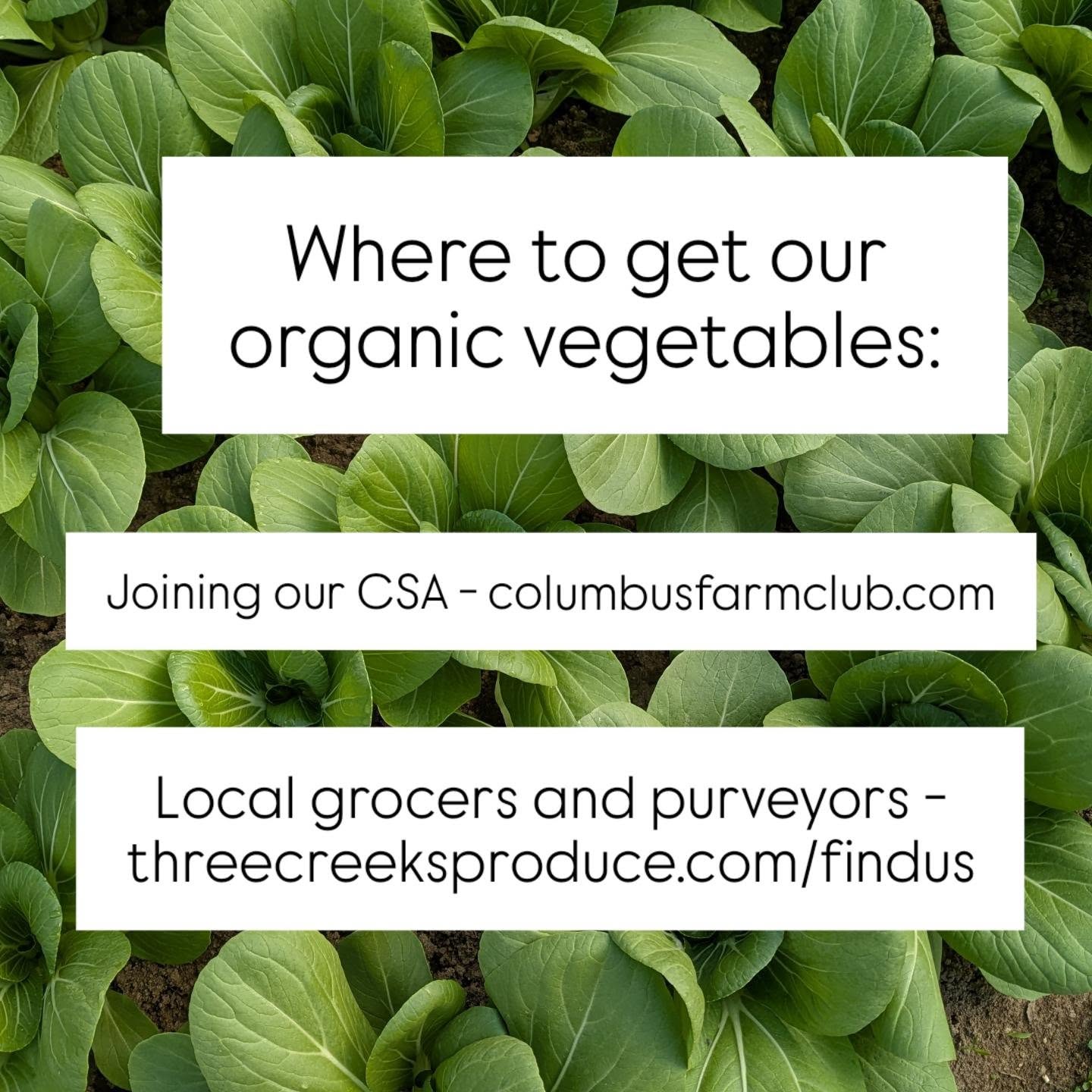 Lots of growing interest in local food lately (yay!) and our phone is ringing off the hook! Just pinning this post if you have recently discovered our farm.
โผ๏ธWe do not have a farm stand/store or offer any direct sales from the farmโผ๏ธ We are busily growing all this food! So as much as we'd love to meet you, we aren't open to the public.
Instead, families can join our CSA, or choose to shop with the wonderful local stores and services that stock our certified organic produce: threecreeksproduce.com/findus . Both are excellent ways to get great locally grown veggies and support our farm!
We appreciate everyone who chooses a small farm or business to feed their family - it makes a real difference to us!