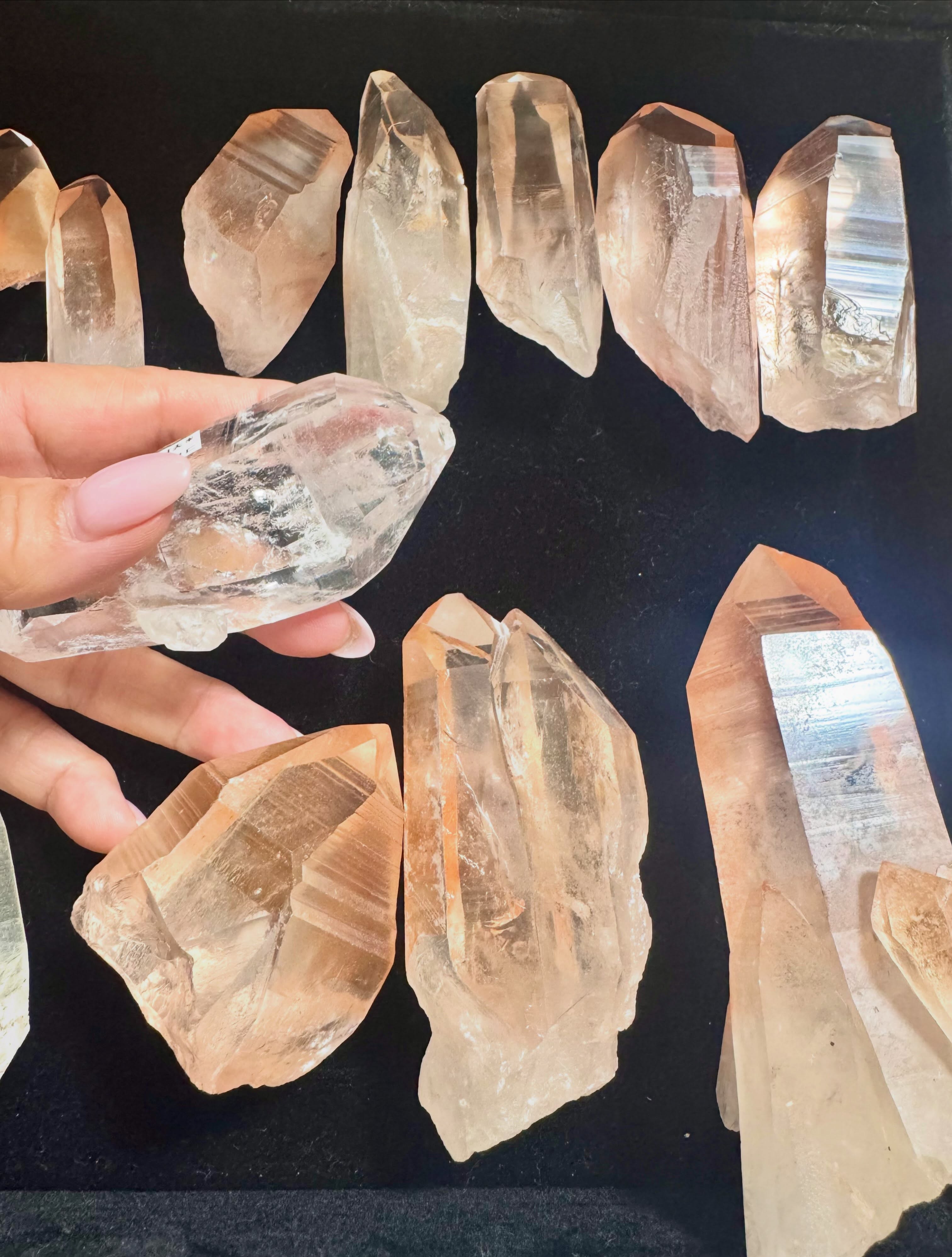✨
Sunrise Lemurian Crystal
サンライズレムリアン・クリスタル
夜明けのレムリアン
暗い夜が明けて
オレンジゴールドの太陽の光が
薄らと辺りに光を齎し始める時間
このクリスタルは
新しい時代を生きる種達へ
Messageを持っています
昼間、突然部屋が暗くなったと思ったら
激しい雷雨になりました
なのに、
仕事をしていたテーブルの上の
サンライズレムリアンと
コロンビアレムリアン達は
そこだけ光がさしている様に
見えて、
そしてその並んでいる姿が
まるで、それを手にして大地に並べた
レムリアの人々の様に感じ
彼らが1999年以降を生きる私達に
伝えたかった事や様々な想いが
エネルギーとして伝わって来る感じがして
涙がポロポロと溢れてきました
クリスタルを持ってこんな感覚に陥るのは
とても久し振りです
これまで自分に起きた様々な事…
戦った事、悲しんだ事や嬉しかった事
それら全ての出来事には意味があって
Messageを持っていたのだと
その答えのゴールに近づくと
それは特別な事ではなくて
もしかしたら凄く当たり前の小さな事で
そんな事の為に、こんなにも戦ってきたのかと思ったりもするのです
人生には抗えないこともあるけれど
それでも私達は今日、明日と歩いていく
時に抗ったり
黙って口を閉じて耐えたり
その強さが
やがてspiritになり人を強く
しなやかにしていきます
この美しいクリスタルは
悲しみも苦しみも
喜びも希望も知っています
サンライズレムリアンクリスタル
明けない夜はない
という叡智を伝えるCrystal
本物のレムリアンクリスタルの特別なエネルギーをお届けします
このクリスタルを手にしてから
新たな進化がスタートする
というクリスタルです
この進化は、
今の自分だけをさしているのでは、
ありません🥰
9月の64歳の誕生日を迎えて直ぐ、山形にトークイベントで行く事になりました。
その時にもこのクリスタルと共に、
ちょっと深い話をしたいと思っています✨
県外からも是非いらして頂けたら嬉しいです✨
レムリアンシードクリスタルと同じ
セラデカブラル カブラル オリジナル鉱山から来ました🇧🇷
✴︎写真に載せたクリスタルは、
今晩21時ショップより販売になります。
5枚目は届いたサンライズレムリアン達
6枚目は昨年の船旅途中の夜明けです。
明後日からまた船旅に行きます🤍
#レムリアンクリスタル
#レムリアの記憶
#夜明けのクリスタル
#レムリアの人々
#ヒーリングストーンラボ