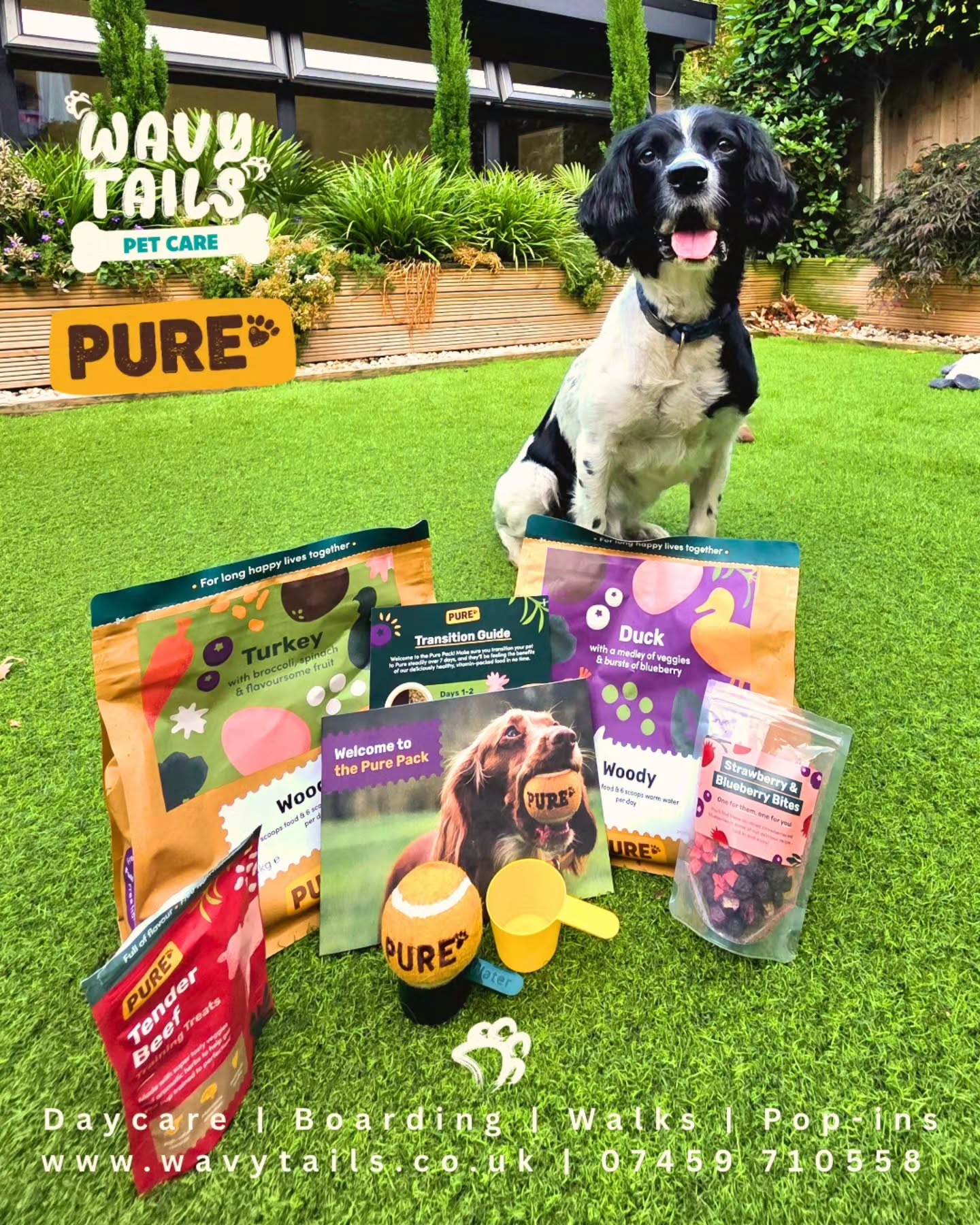 🐾📦 Woody was VERY excited yesterday when his special package arrived! 🐶✨
Of course, he had to give it a full inspection before we could even open it… and this morning we put it to the ultimate test, the Woody taste test! 😍🐾
I can safely say… he absolutely loves it! ❤️🐕
I’m also excited to share that Wavy Tails is now an ambassador for @purepetfood which means I can offer you an amazing discount if you want to try it for your own dogs! 🎉
🐾 30% off your first box
🐾 Free treats throughout your full subscription
If you’d like to give it a try, you can use my referral link and let your dog enjoy something they’ll love too! 🐶💚
Drop me a 🐾 in the comments if you want the direct link!
#WavyTails #DogLovers #HappyDogs #DogTreats #DogFood WoodyTheDog